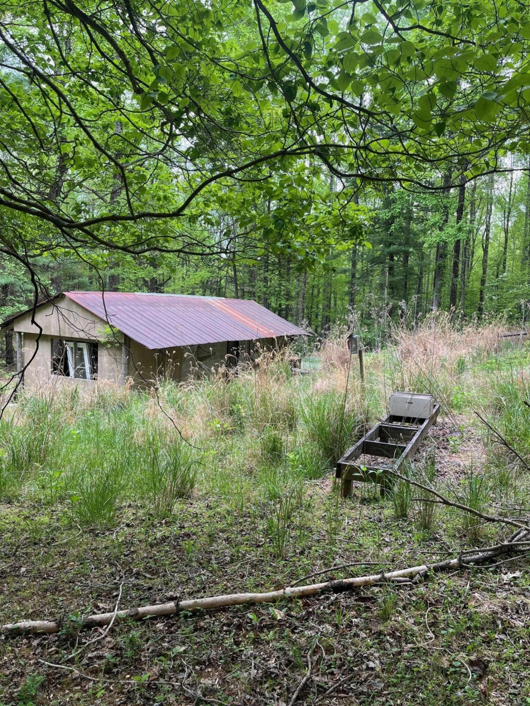 9737 Pine Forest RD NE - Photo 29