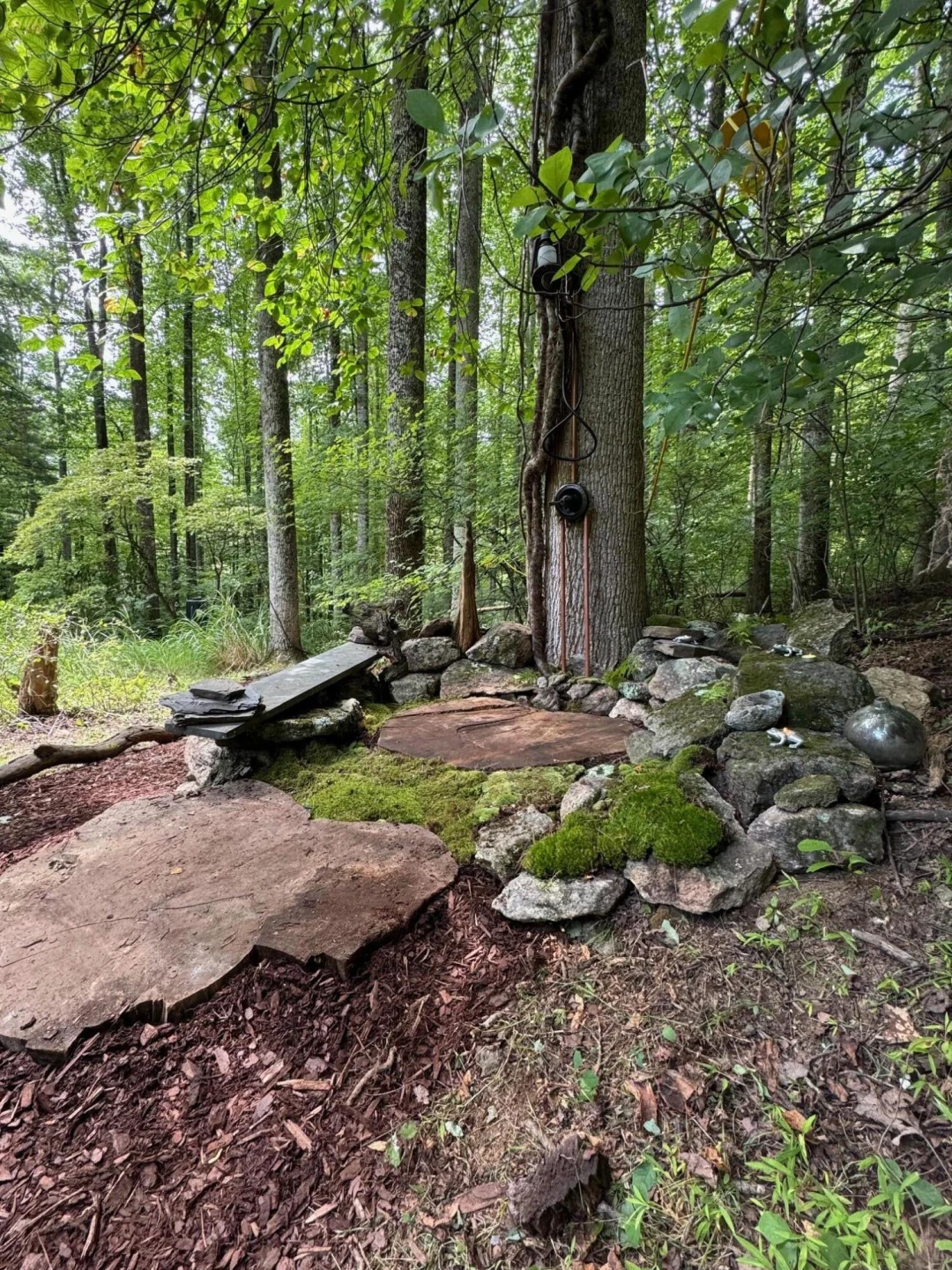 9737 Pine Forest RD NE - Photo 31