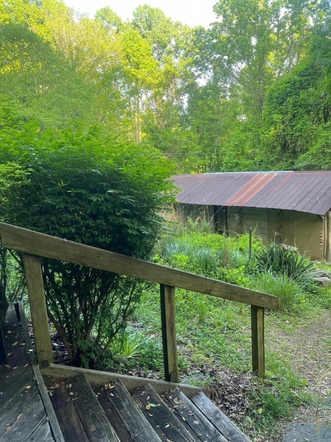9737 Pine Forest RD NE - Photo 35