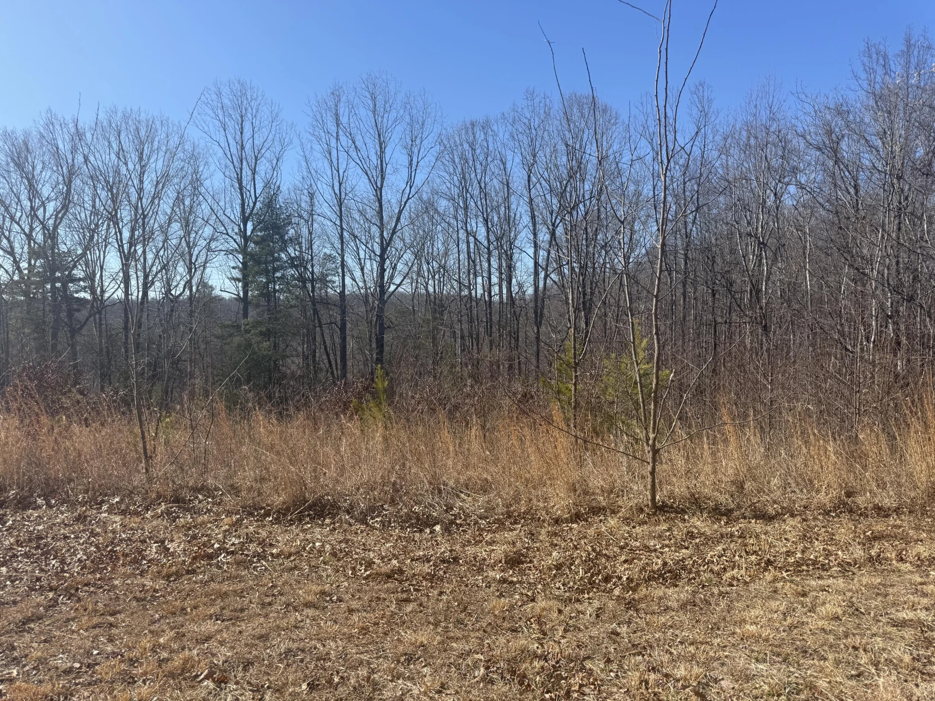 Lot 11 Thompson Ridge CIR