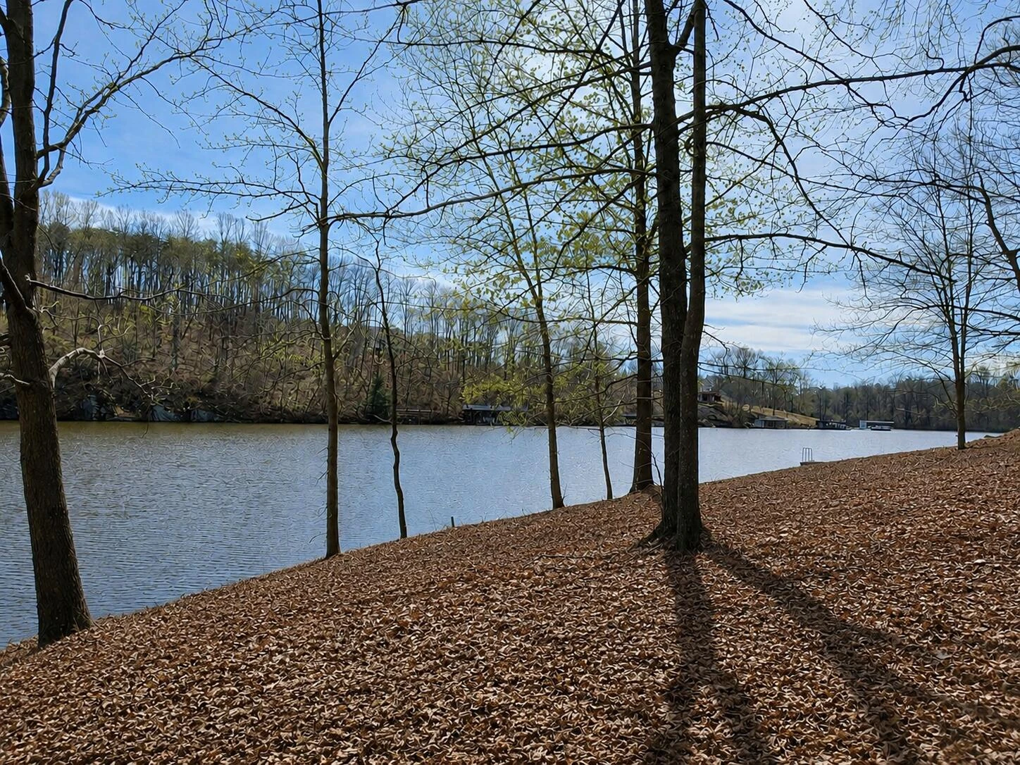Lot 59 Lakepointe CT - Photo 2