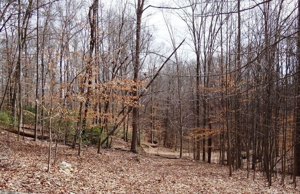 Lot 59 Lakepointe CT - Photo 4