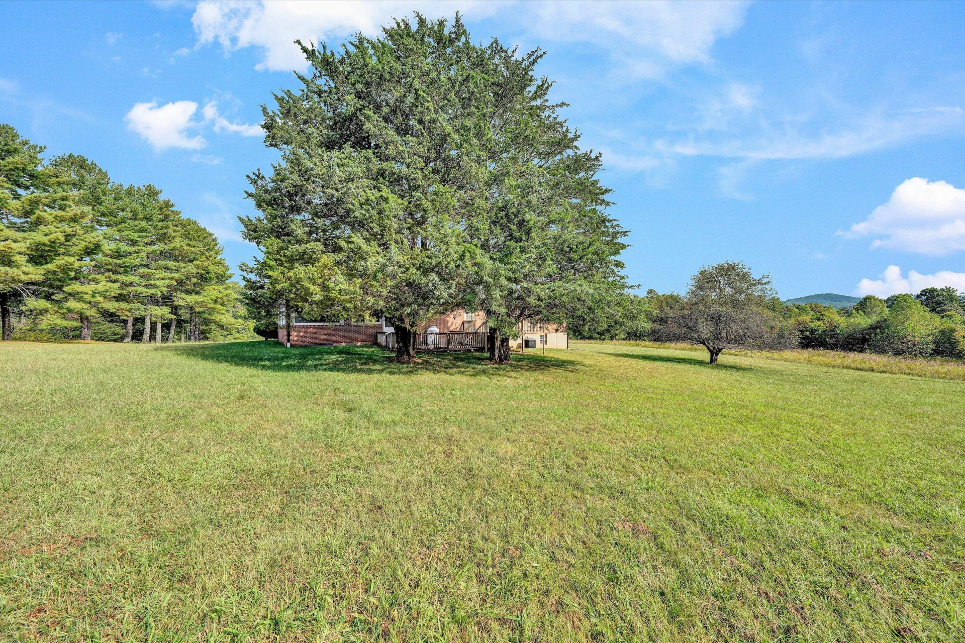5033 McNeil Mill RD - Photo 38