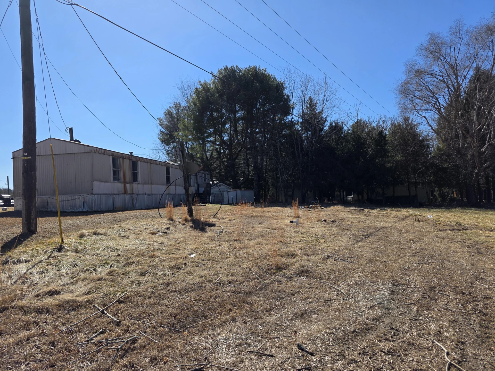 15 Spruce Pine LN - Photo 4