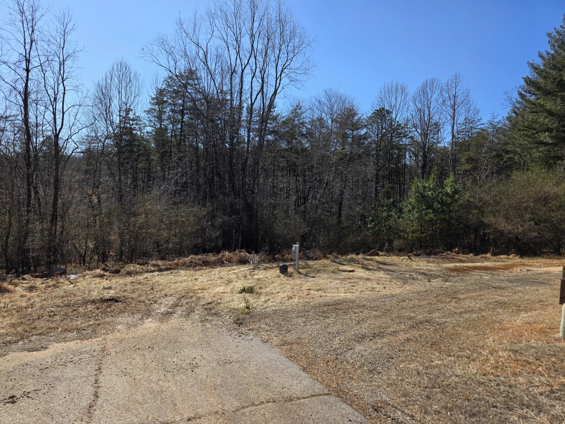 15 Spruce Pine LN - Photo 5