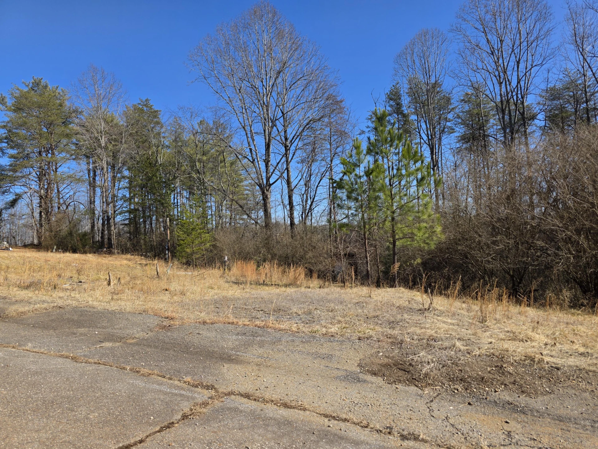 15 Spruce Pine LN - Photo 7