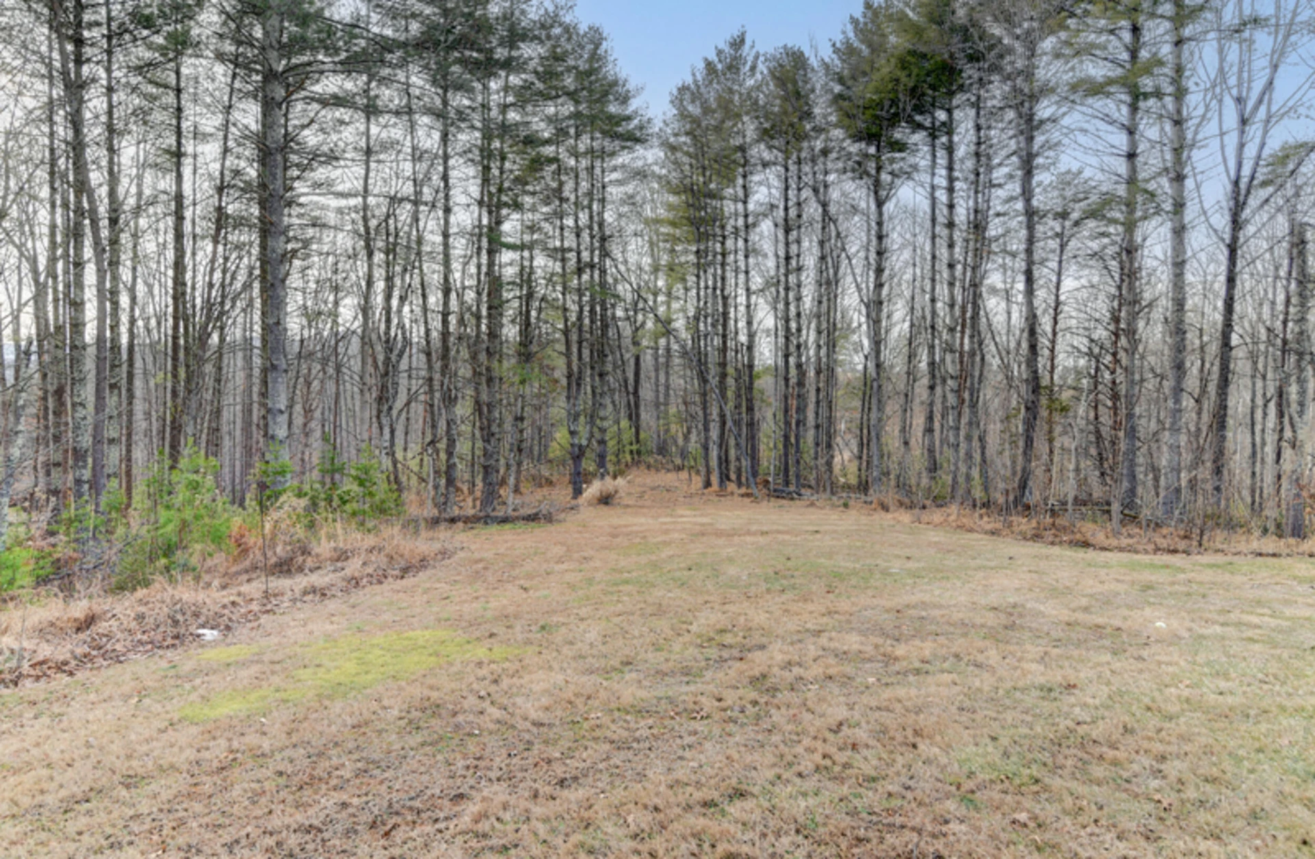 223 Cahas Mountain RD - Photo 39