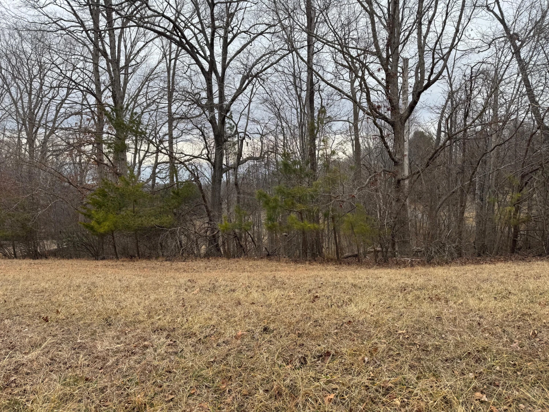 Lot 59 North Church DR
