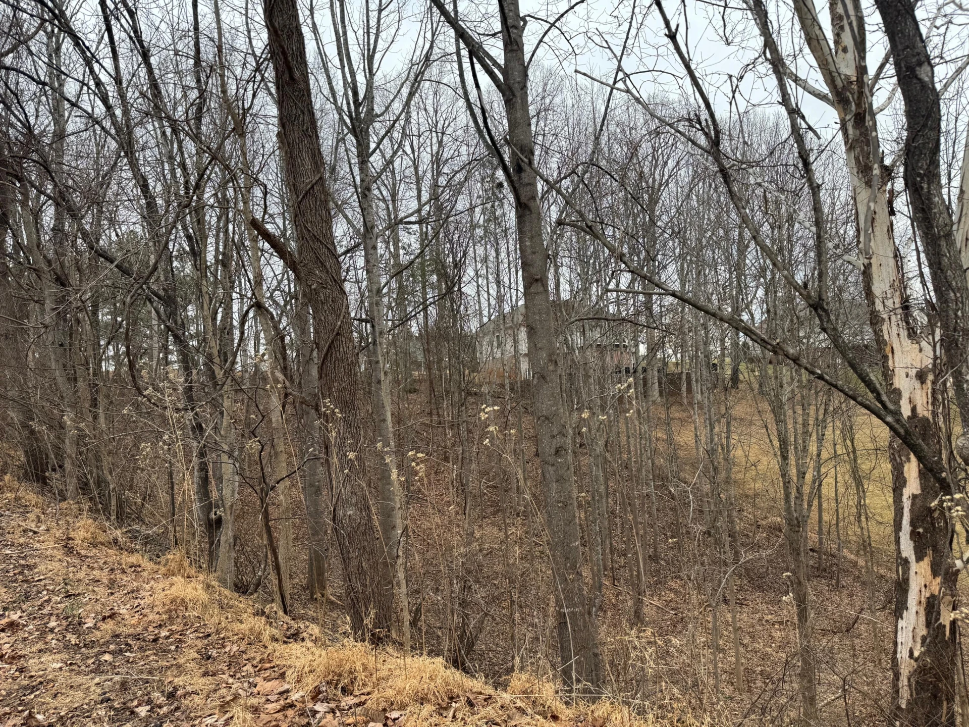 Lot 59 North Church DR - Photo 5