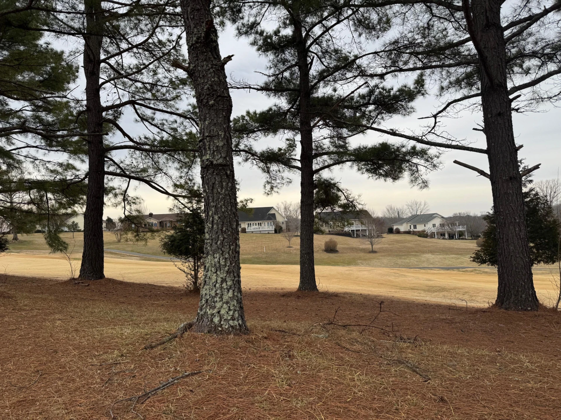 Lot 59 North Church DR - Photo 6