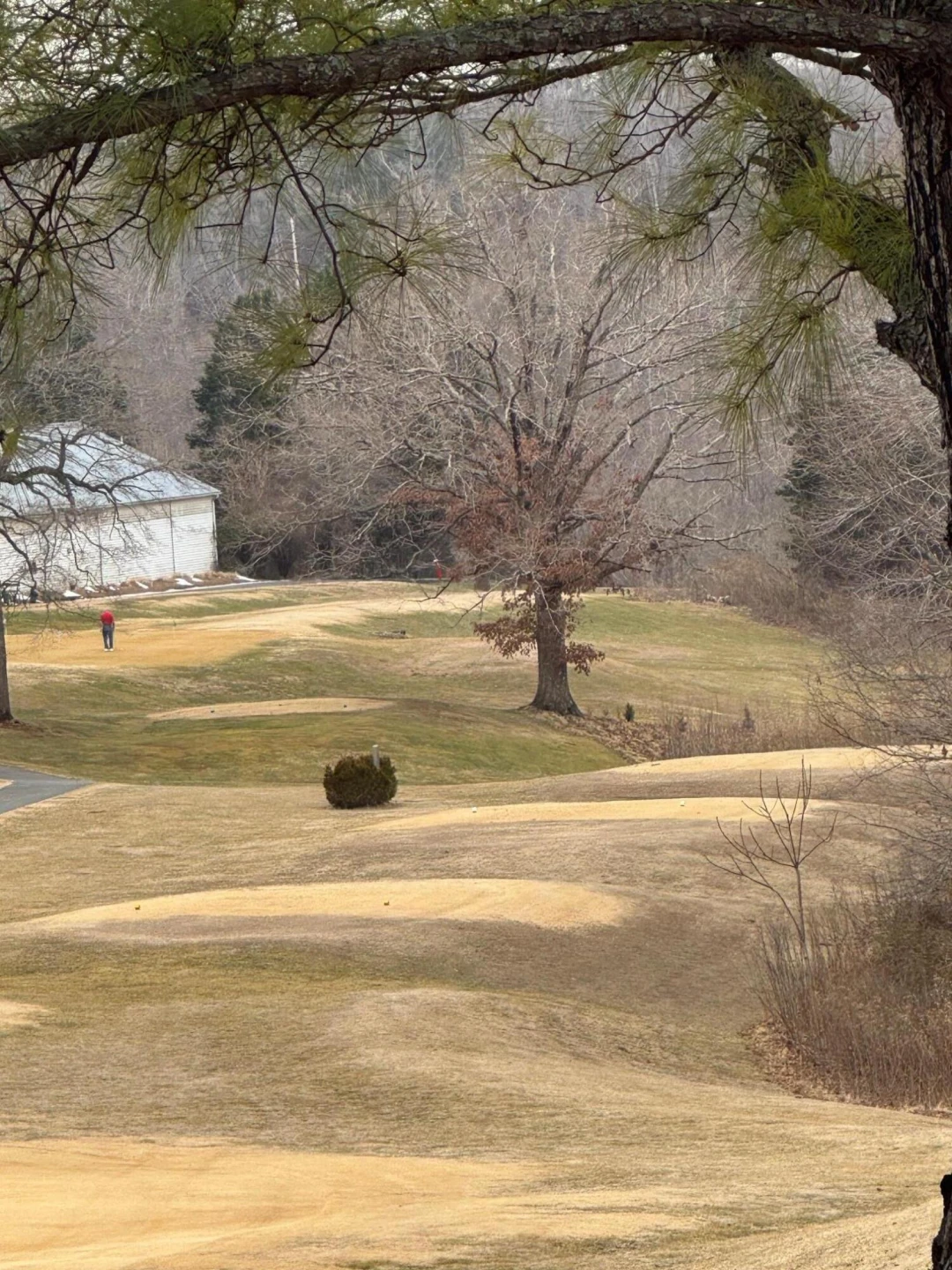 Lot 59 North Church DR - Photo 7