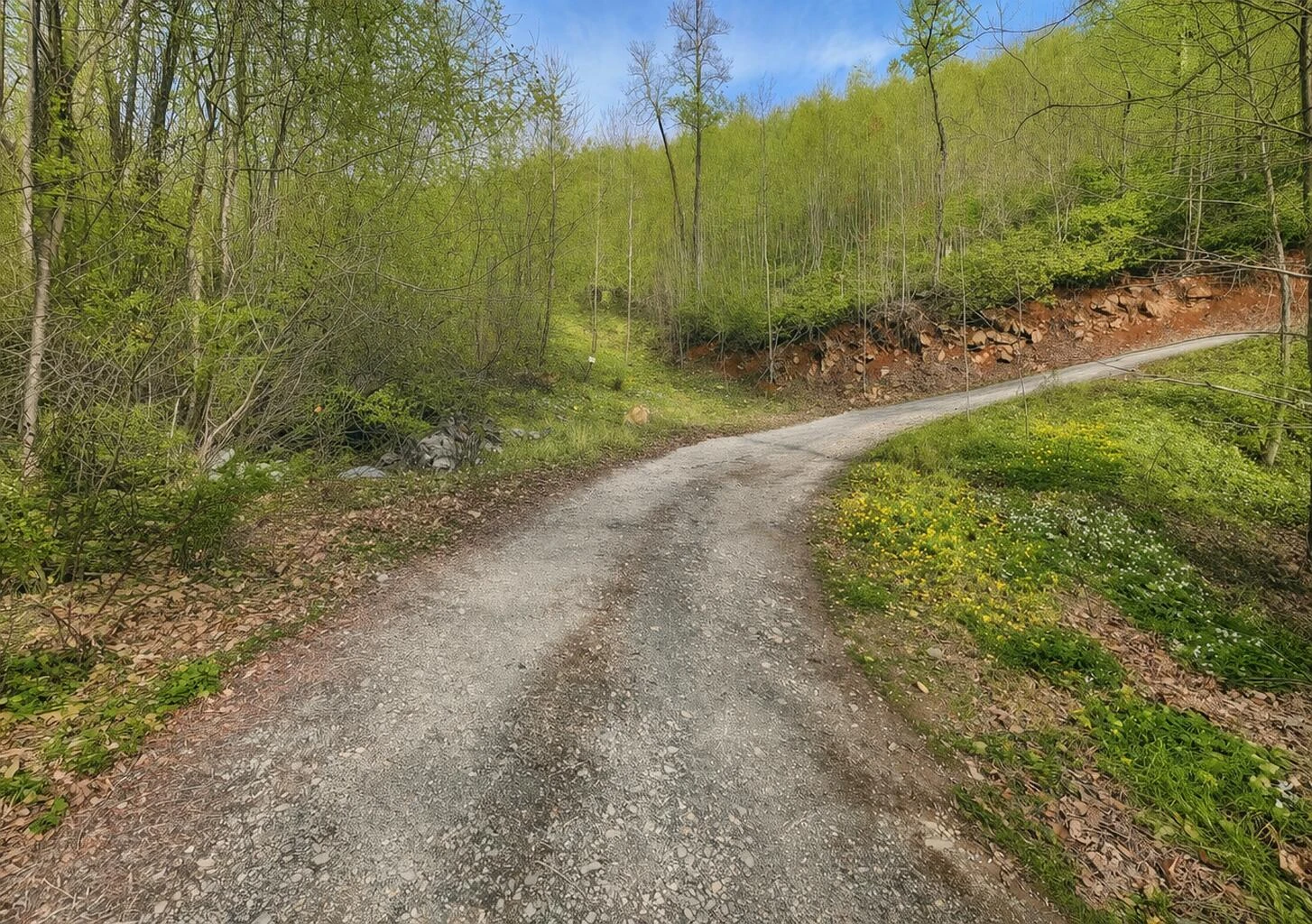 0 Mountain View Church RD - Photo 2