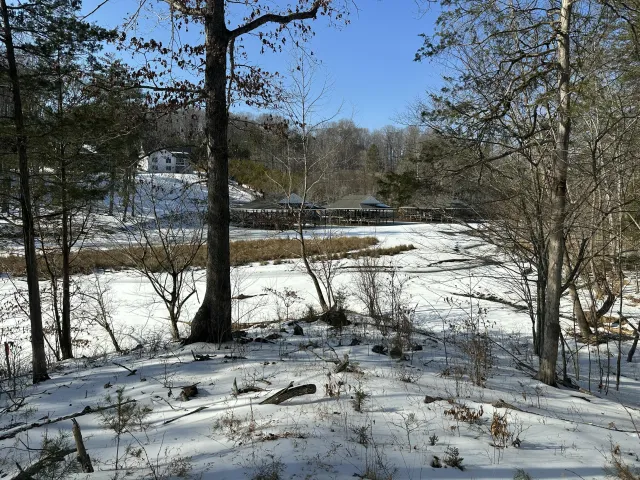 Lot 42 Lakewatch CIR