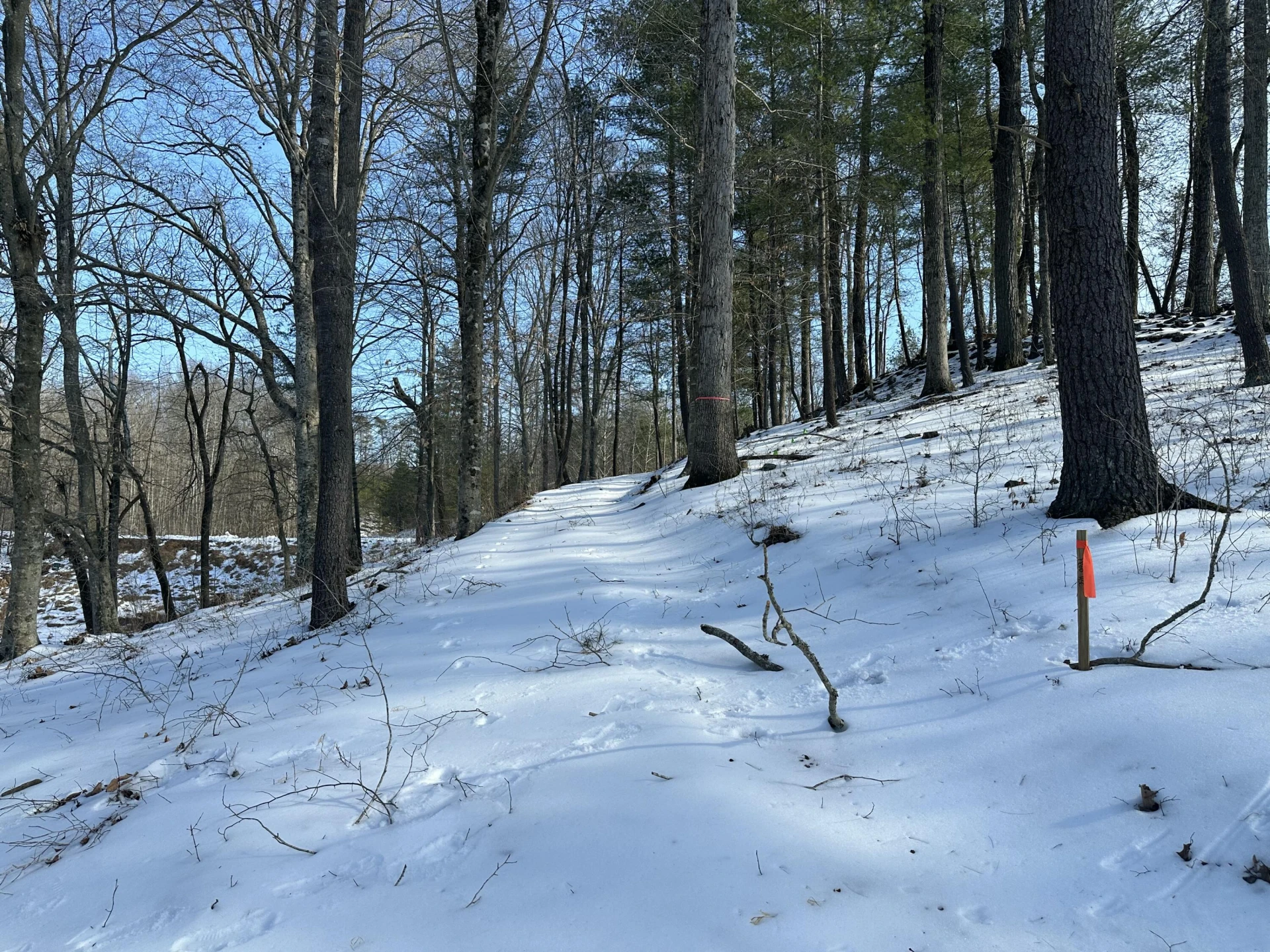 Lot 42 Lakewatch CIR - Photo 10