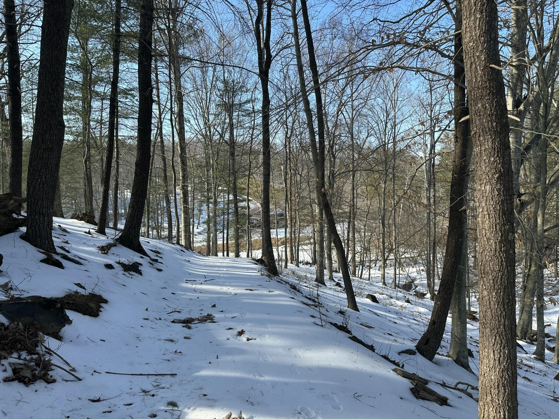 Lot 42 Lakewatch CIR - Photo 12