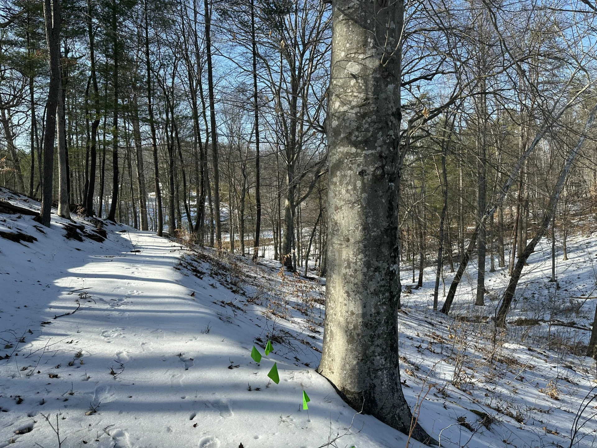 Lot 42 Lakewatch CIR - Photo 13