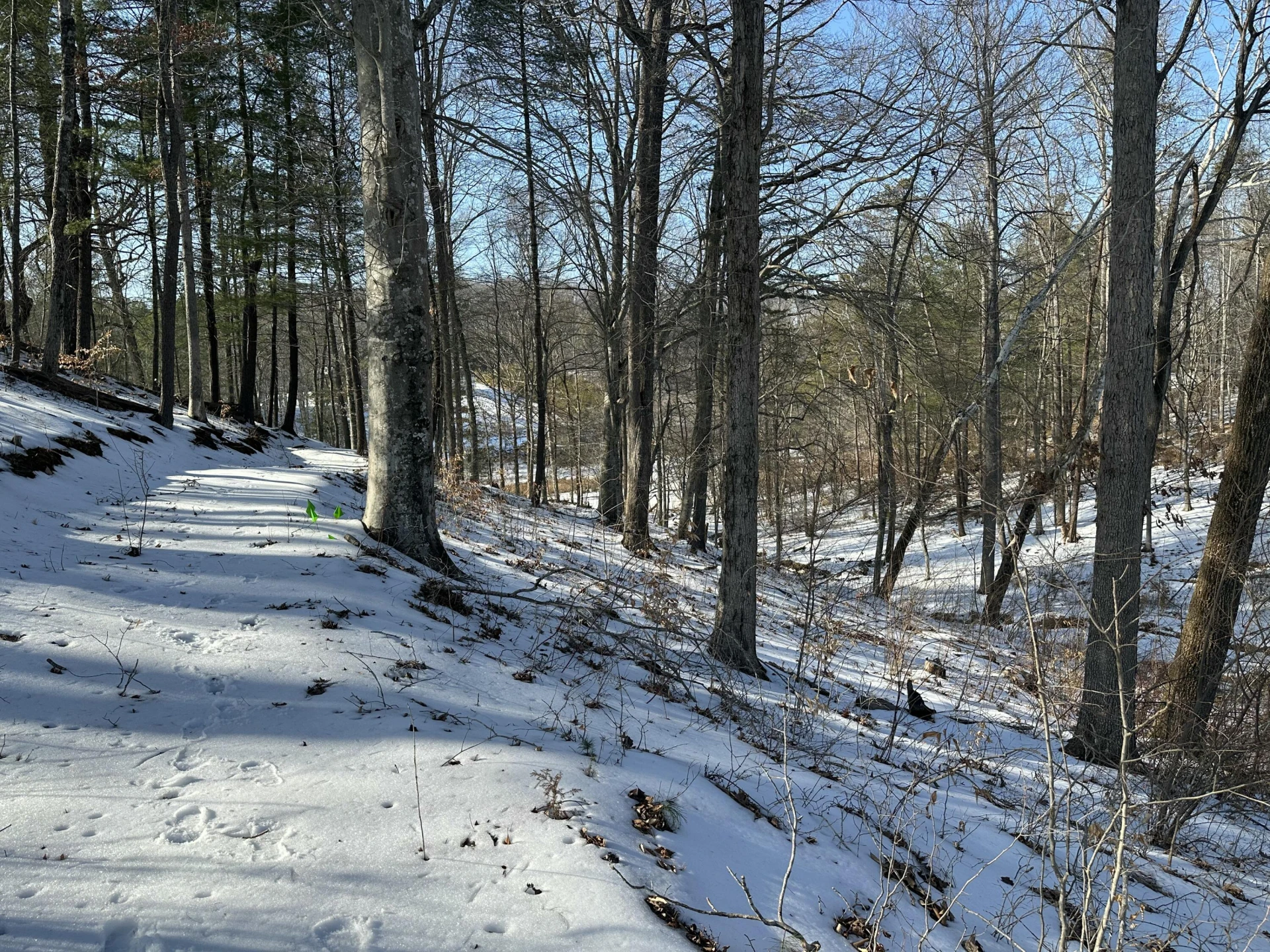 Lot 42 Lakewatch CIR - Photo 14