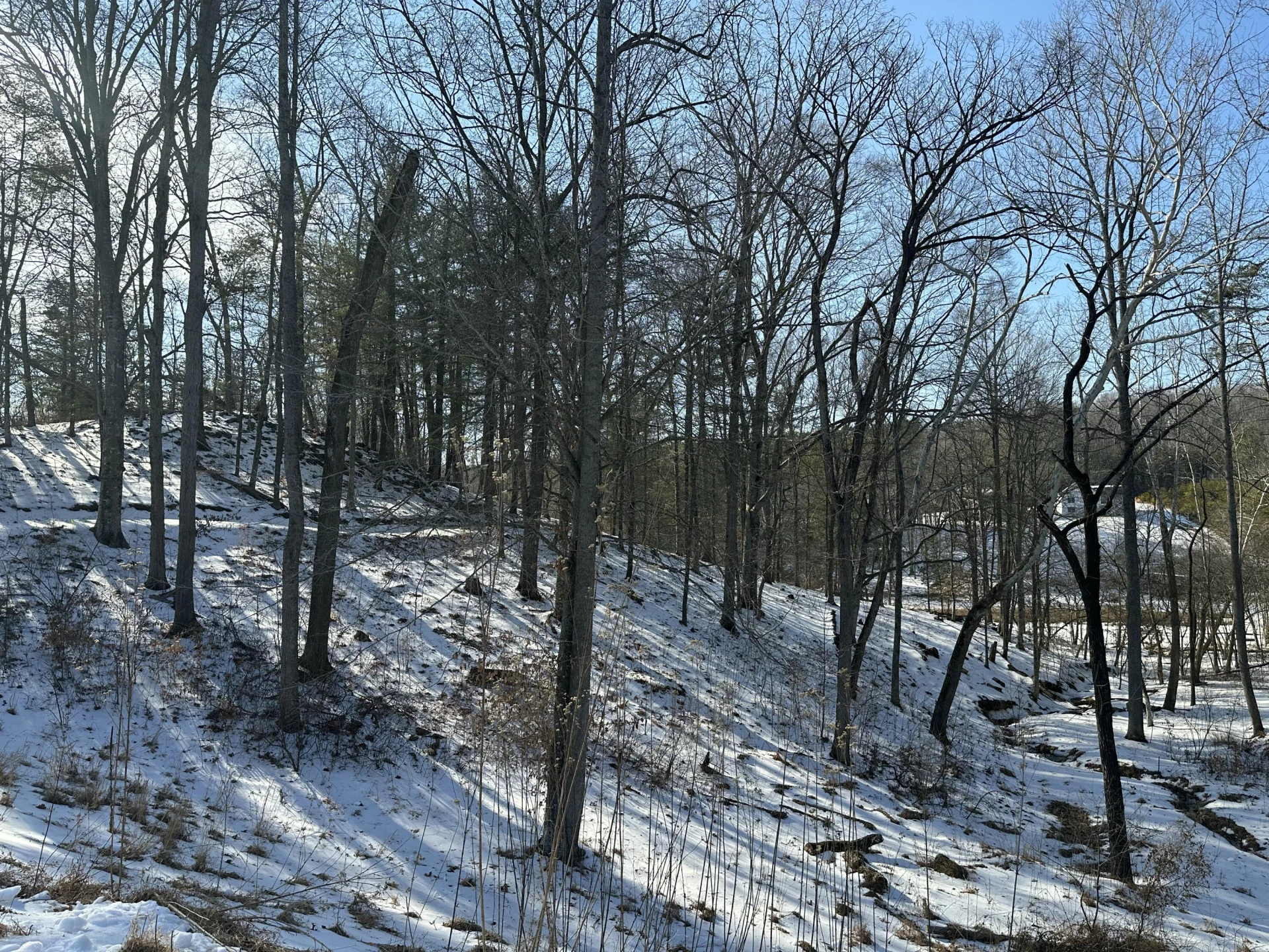 Lot 42 Lakewatch CIR - Photo 15