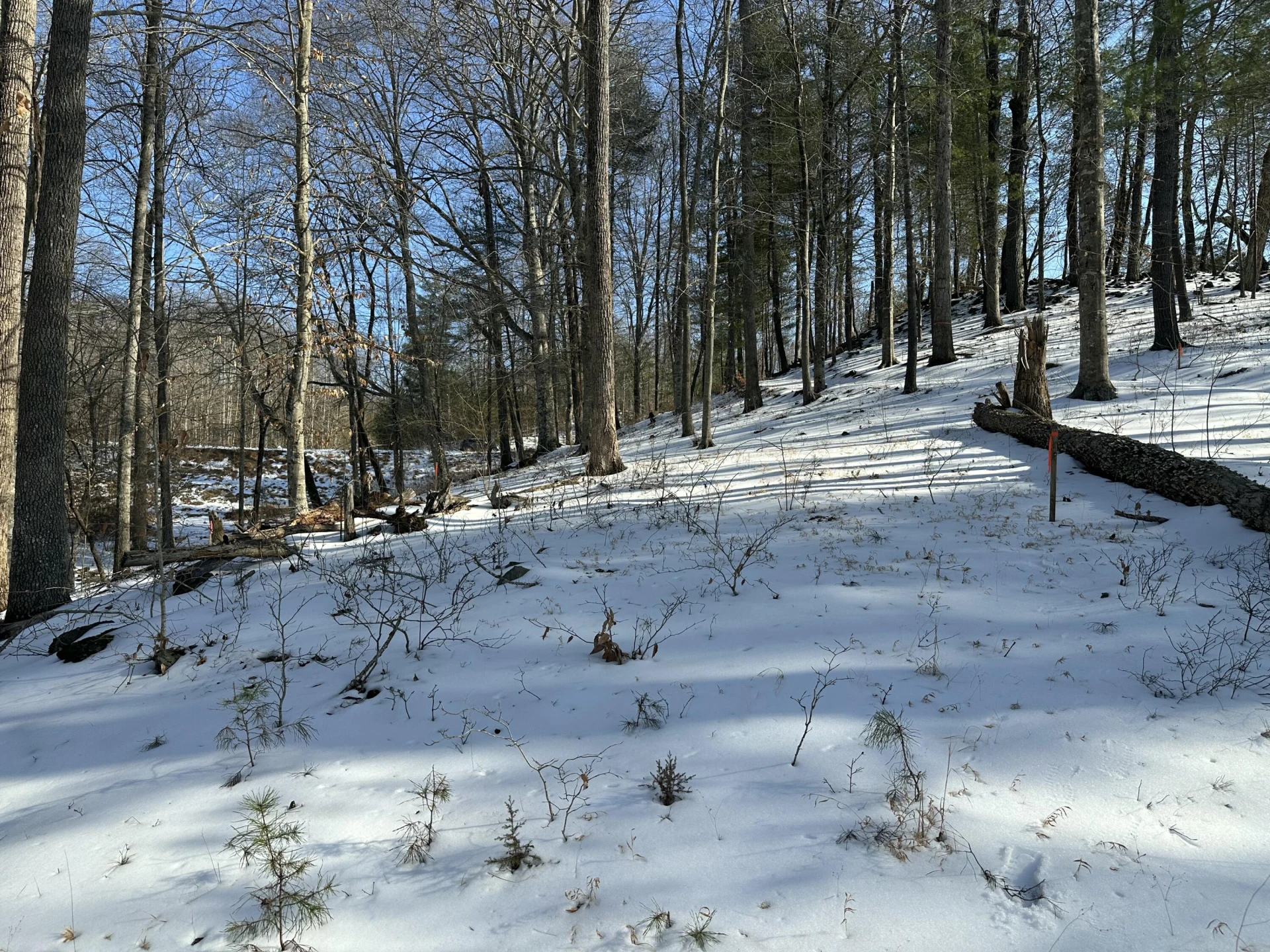 Lot 42 Lakewatch CIR - Photo 17