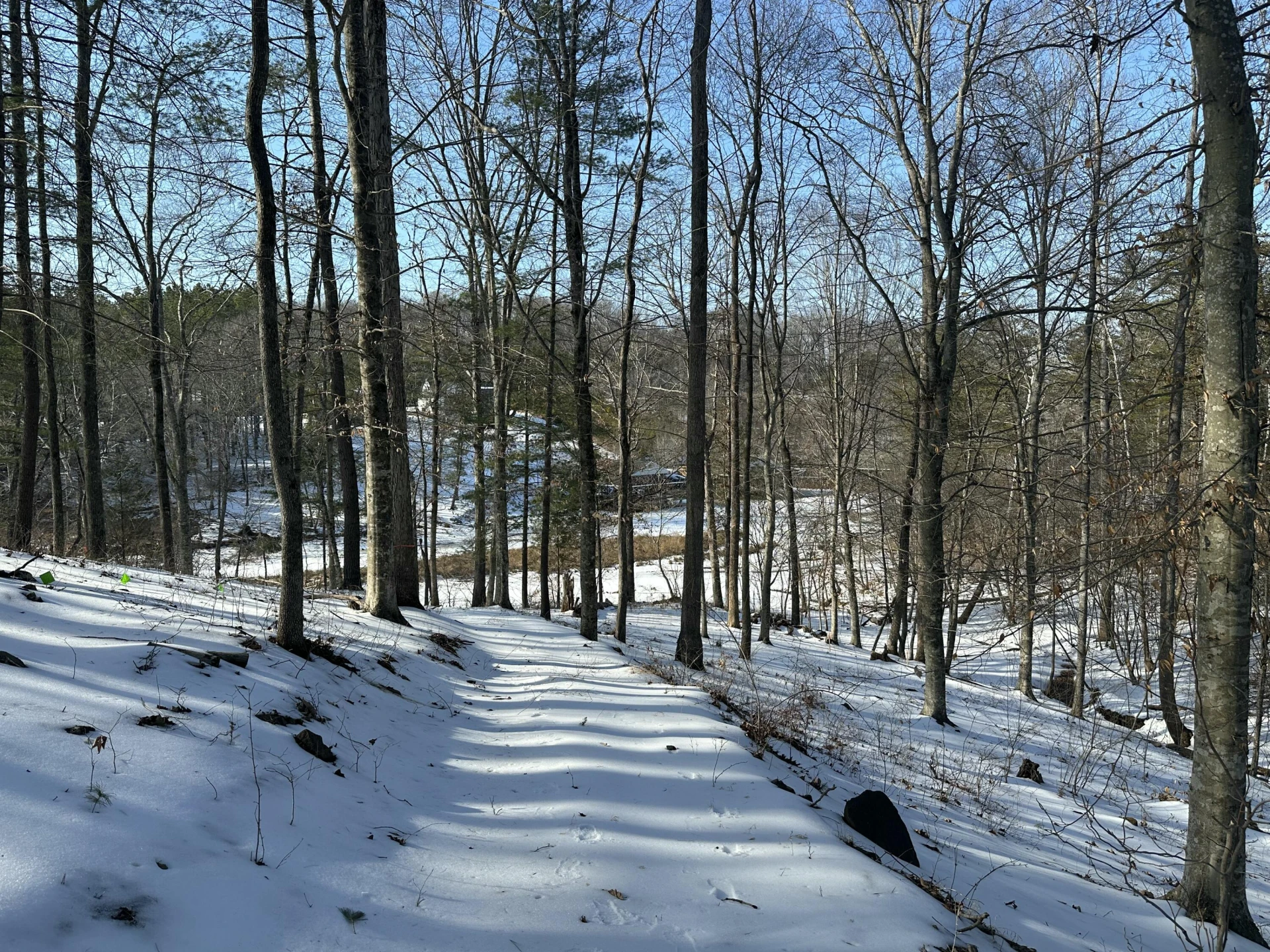 Lot 42 Lakewatch CIR - Photo 18