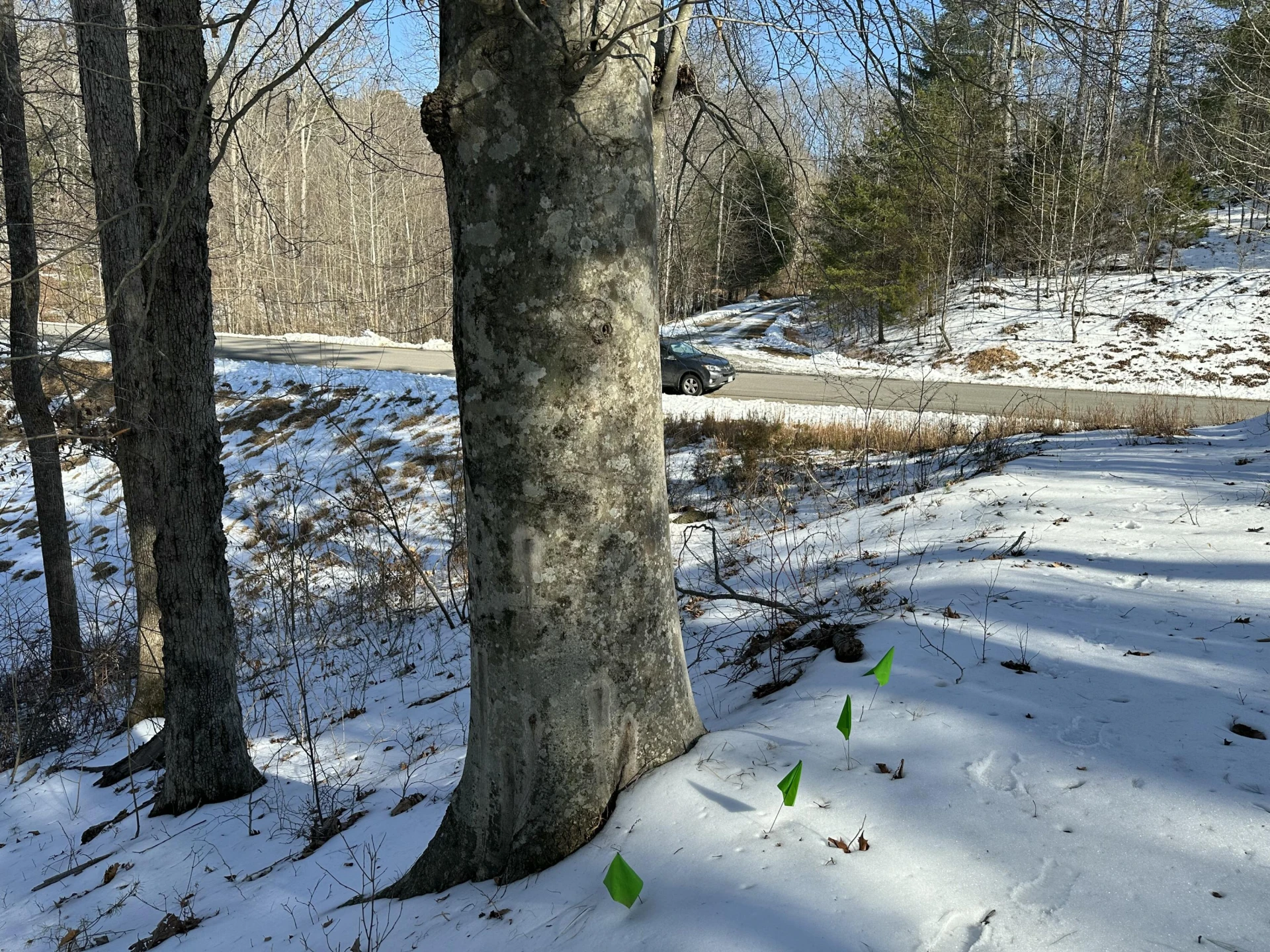 Lot 42 Lakewatch CIR - Photo 4