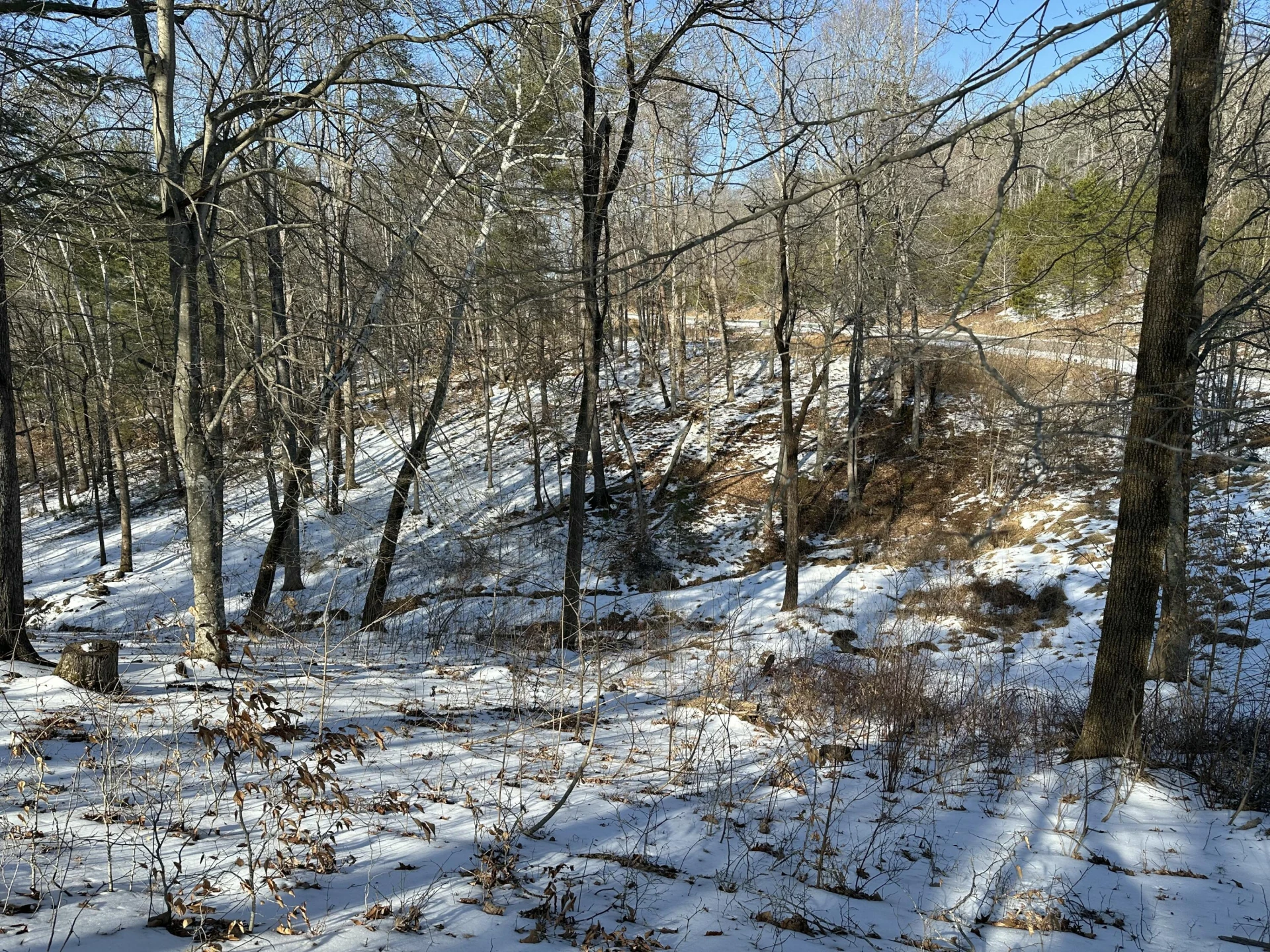 Lot 42 Lakewatch CIR - Photo 5