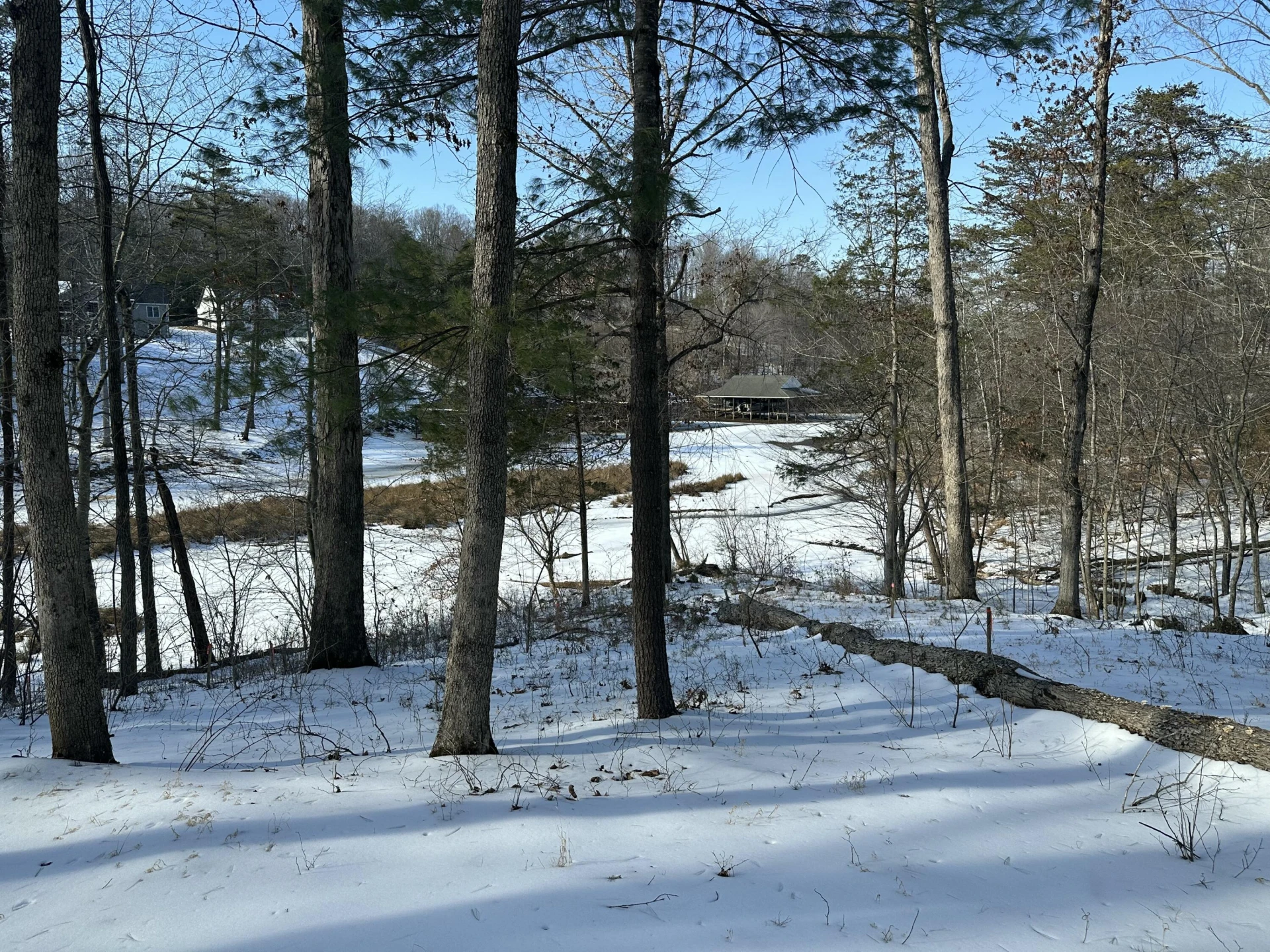 Lot 42 Lakewatch CIR - Photo 6