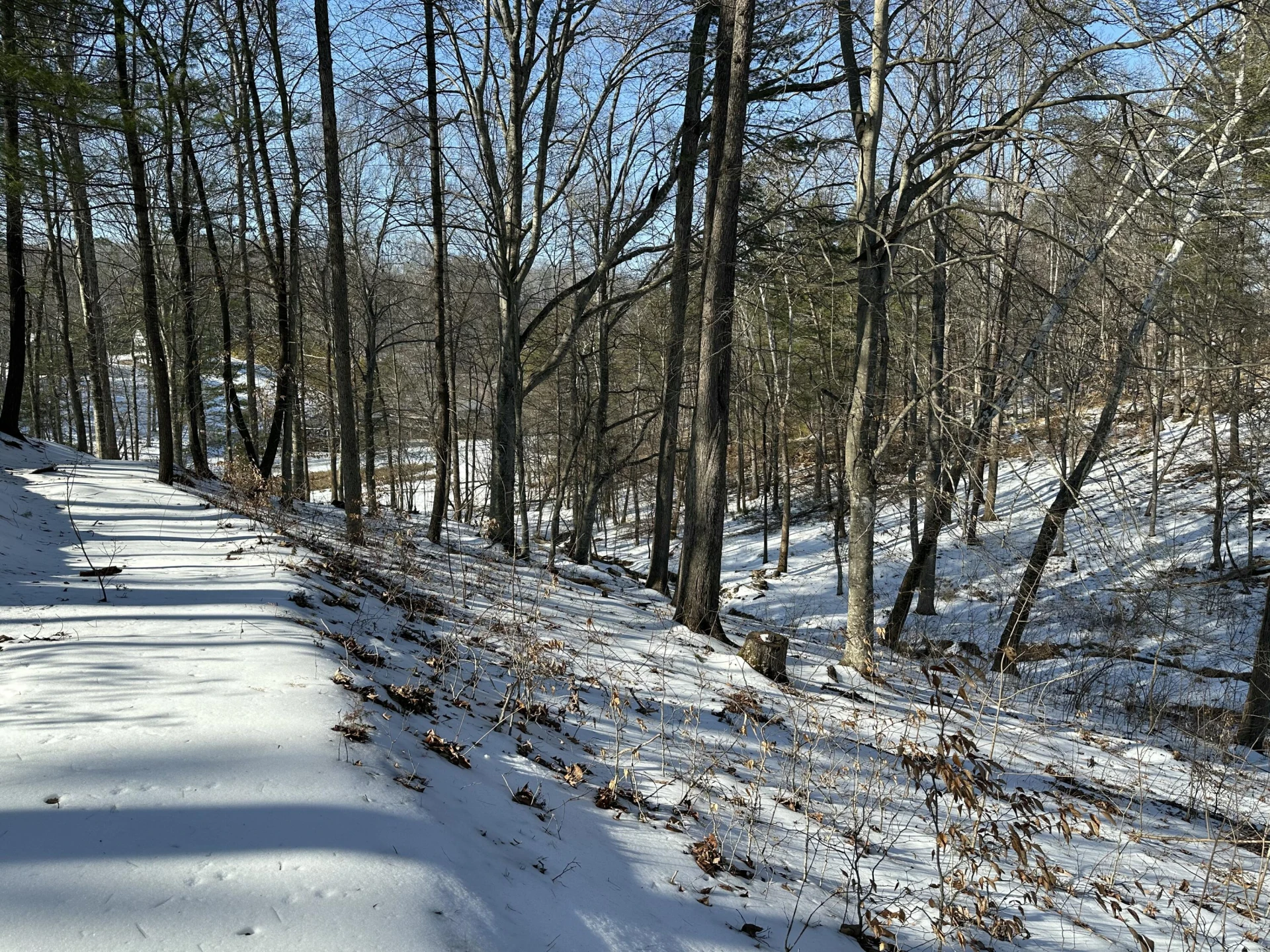 Lot 42 Lakewatch CIR - Photo 7