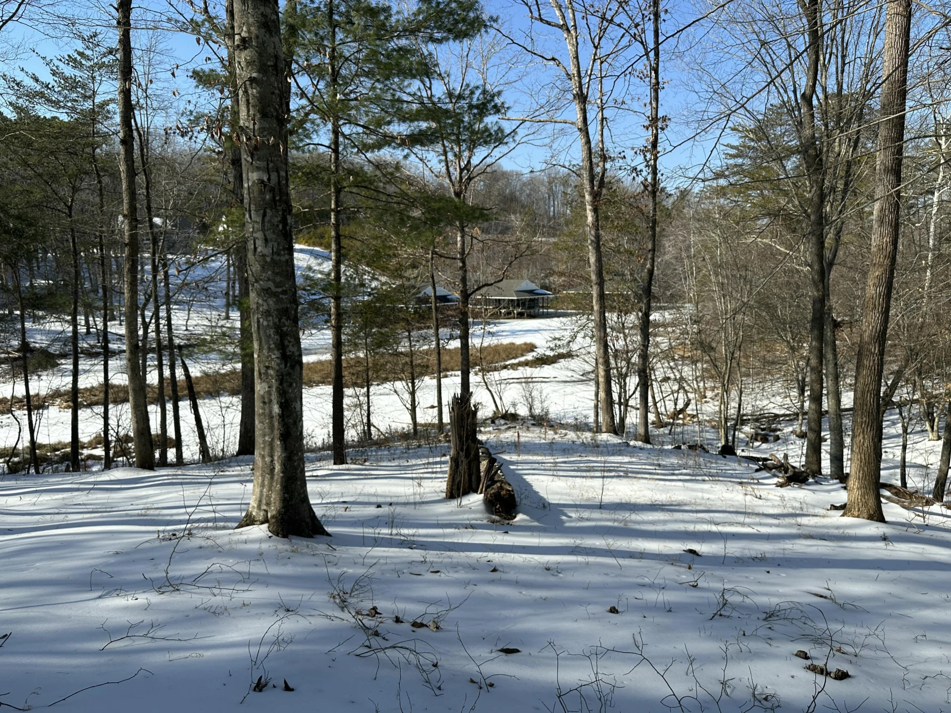 Lot 42 Lakewatch CIR - Photo 8
