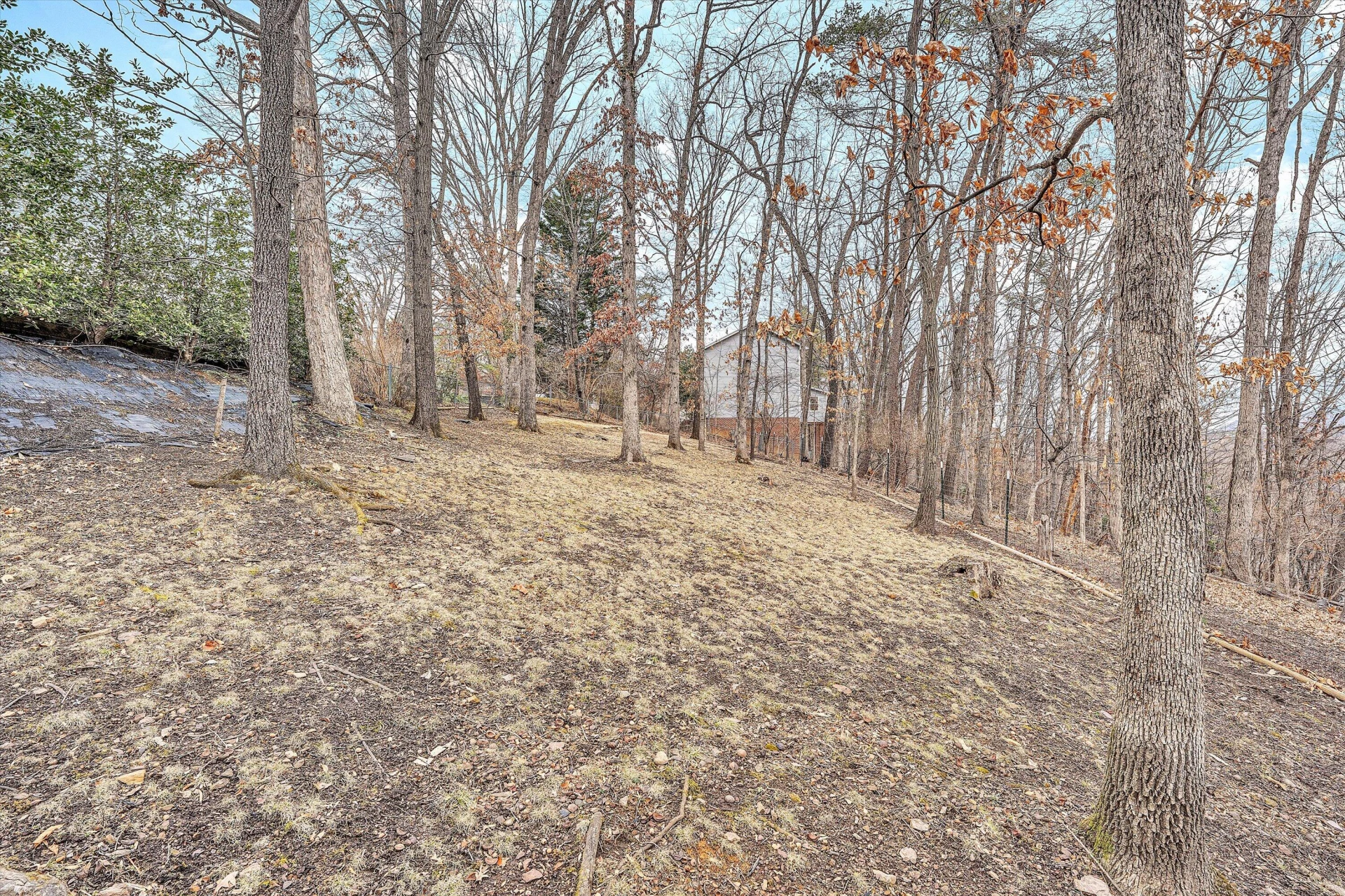3808 Park LN SW - Photo 61