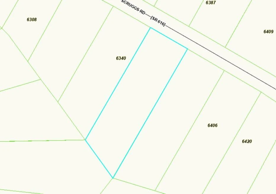 6358 Scruggs RD #Lot 21B - Photo 46