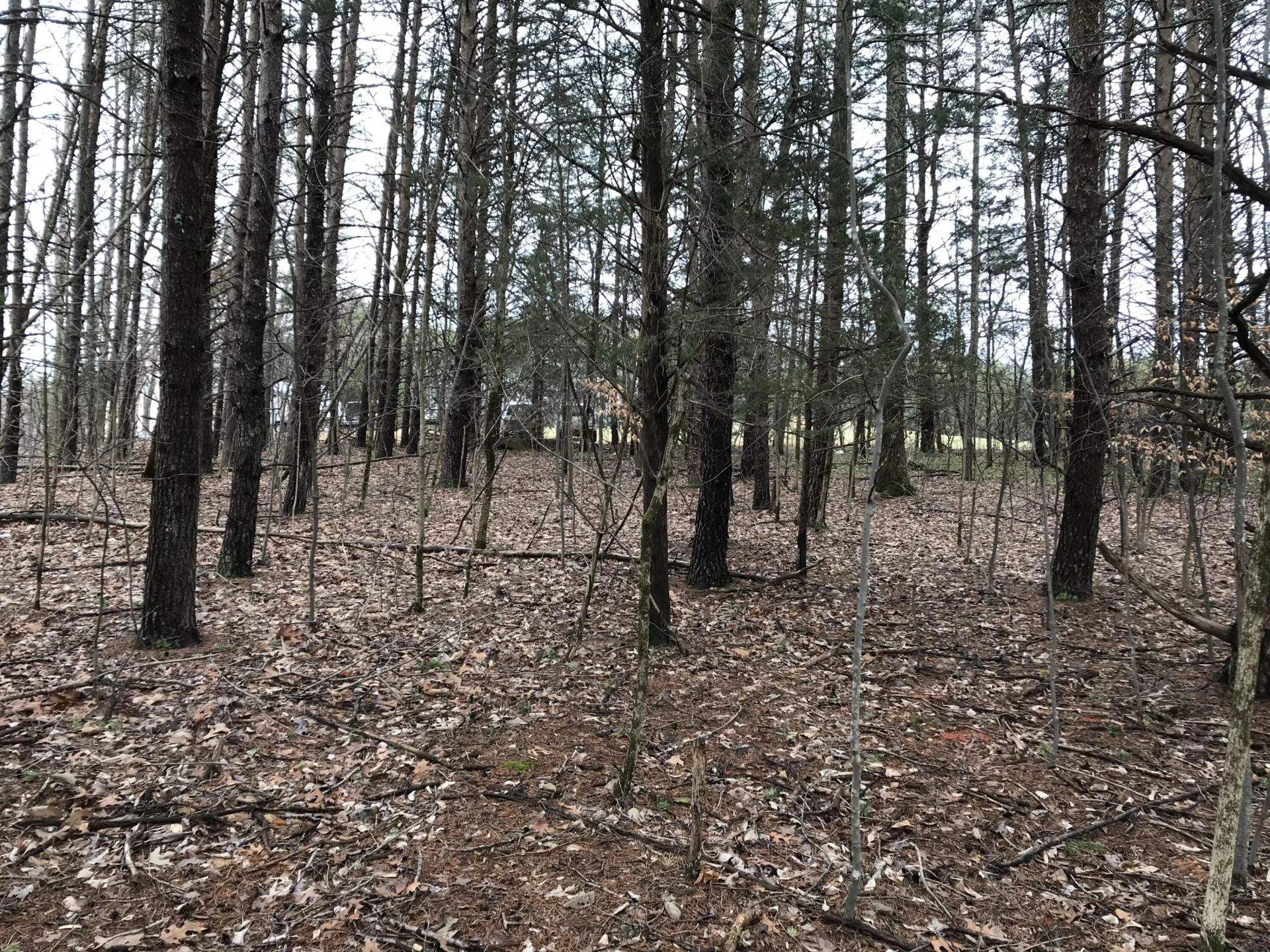 LOT 17 OAK HOLLOW RD