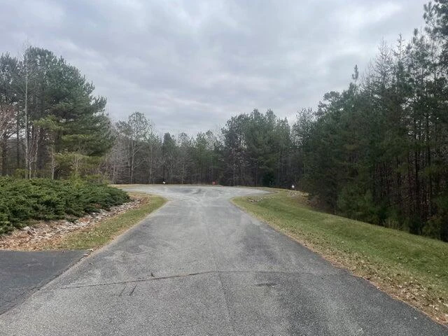 Lot 186 HIDDEN COVE RD - Photo 13