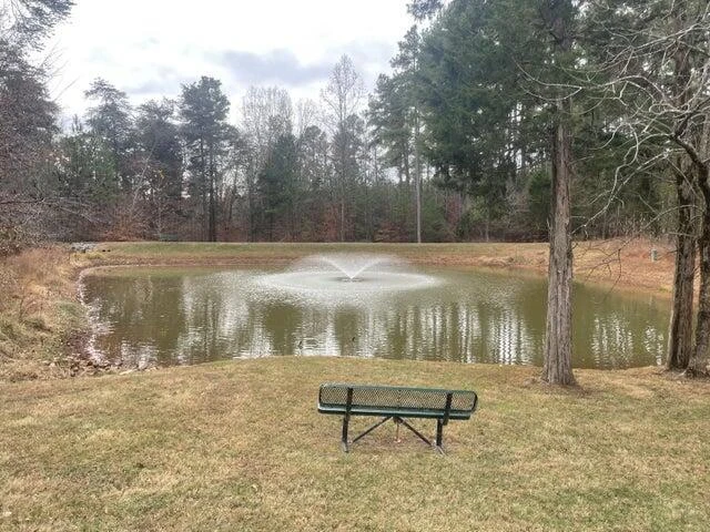 Lot 186 HIDDEN COVE RD - Photo 17