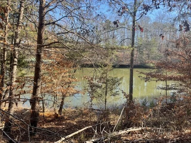Lot 186 HIDDEN COVE RD - Photo 2