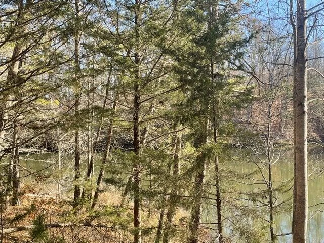 Lot 186 HIDDEN COVE RD - Photo 6