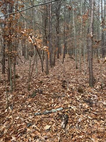 Lot 186 HIDDEN COVE RD - Photo 8