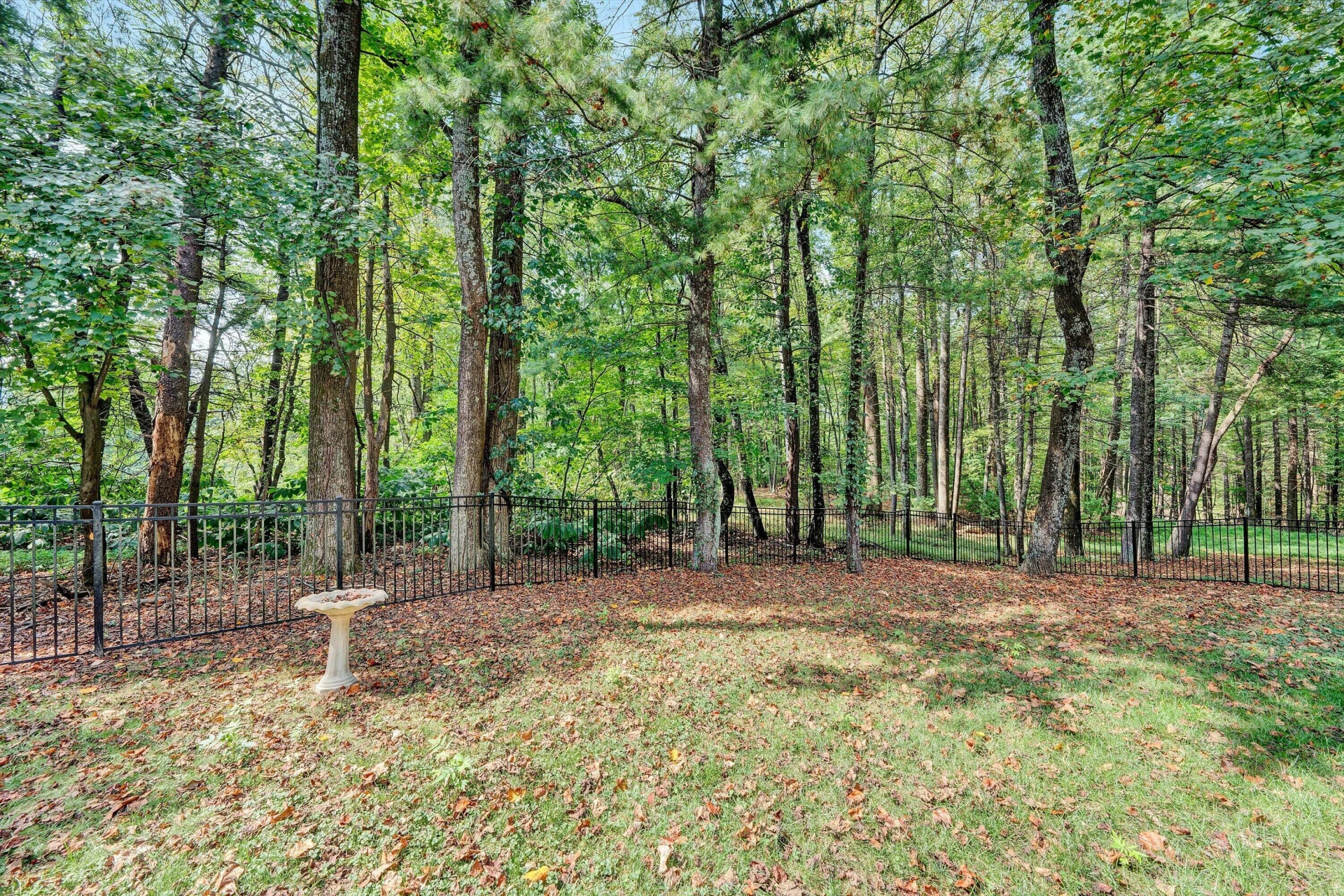 1624 Sunberry CIR - Photo 47