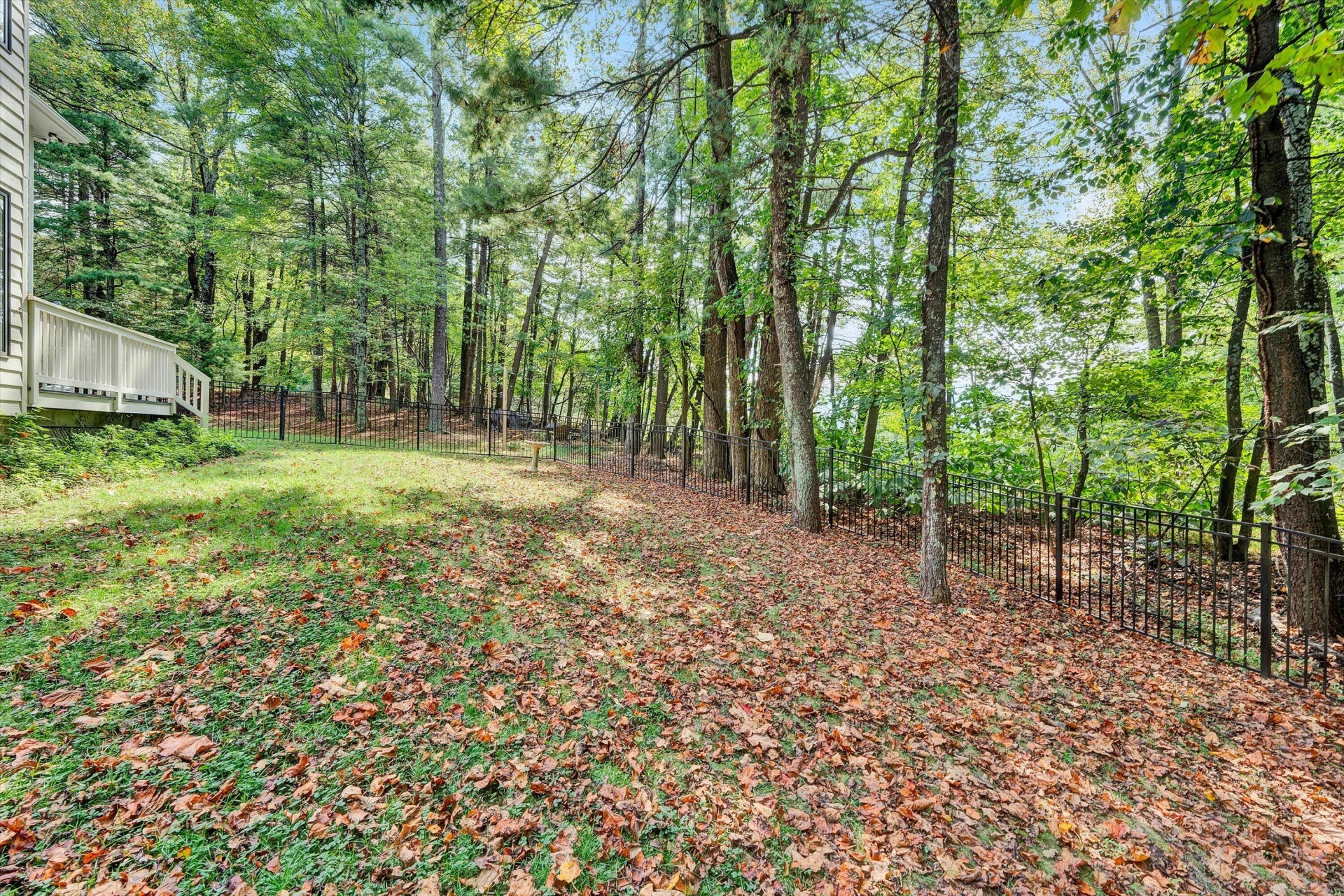 1624 Sunberry CIR - Photo 49