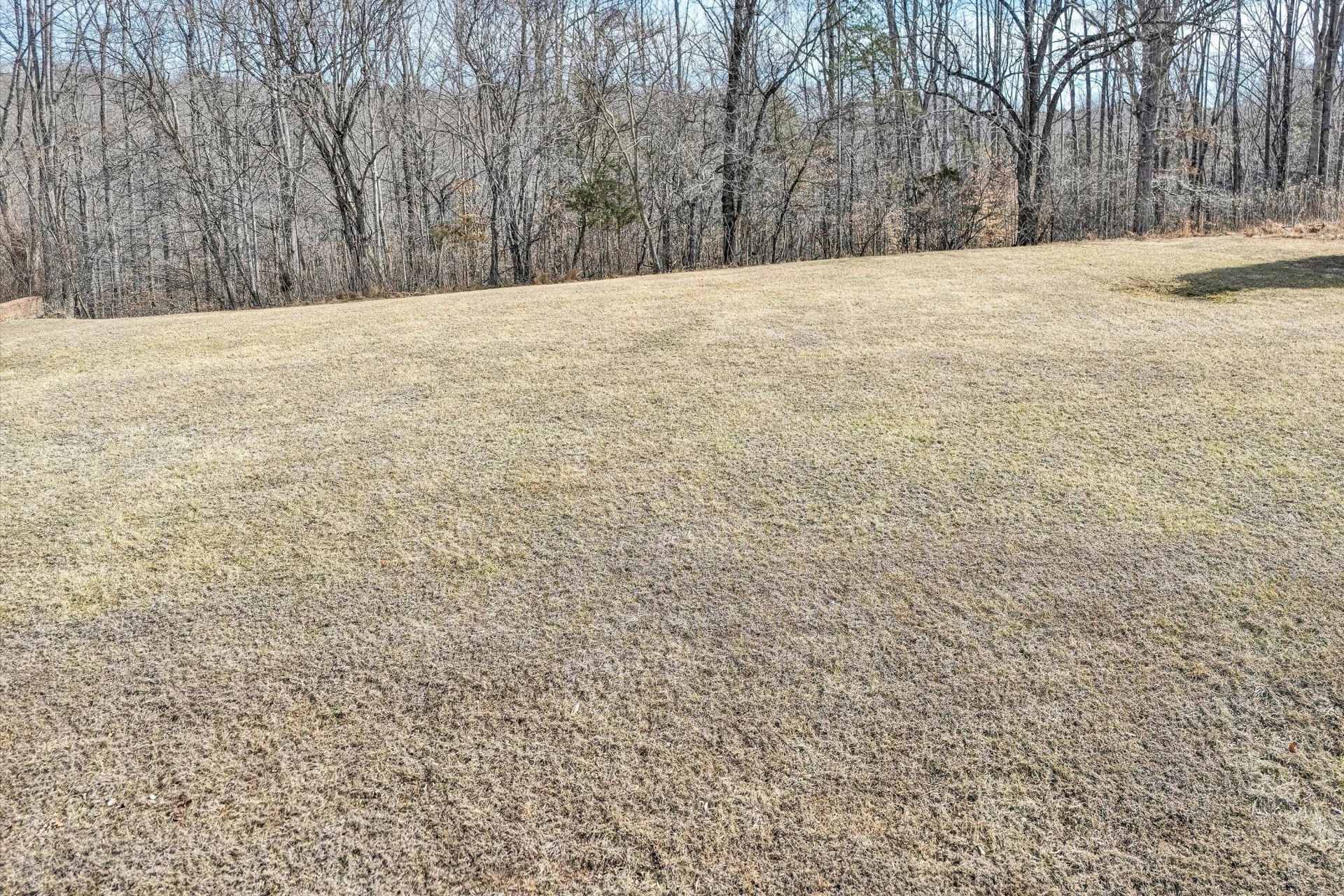 Lot 40 Cambridge CT - Photo 8