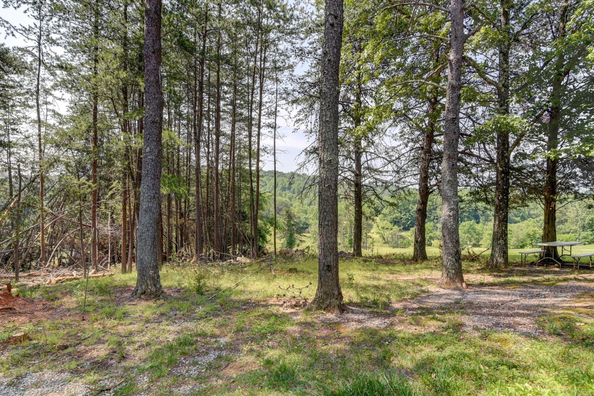 3122 Buffalo Run - Photo 31