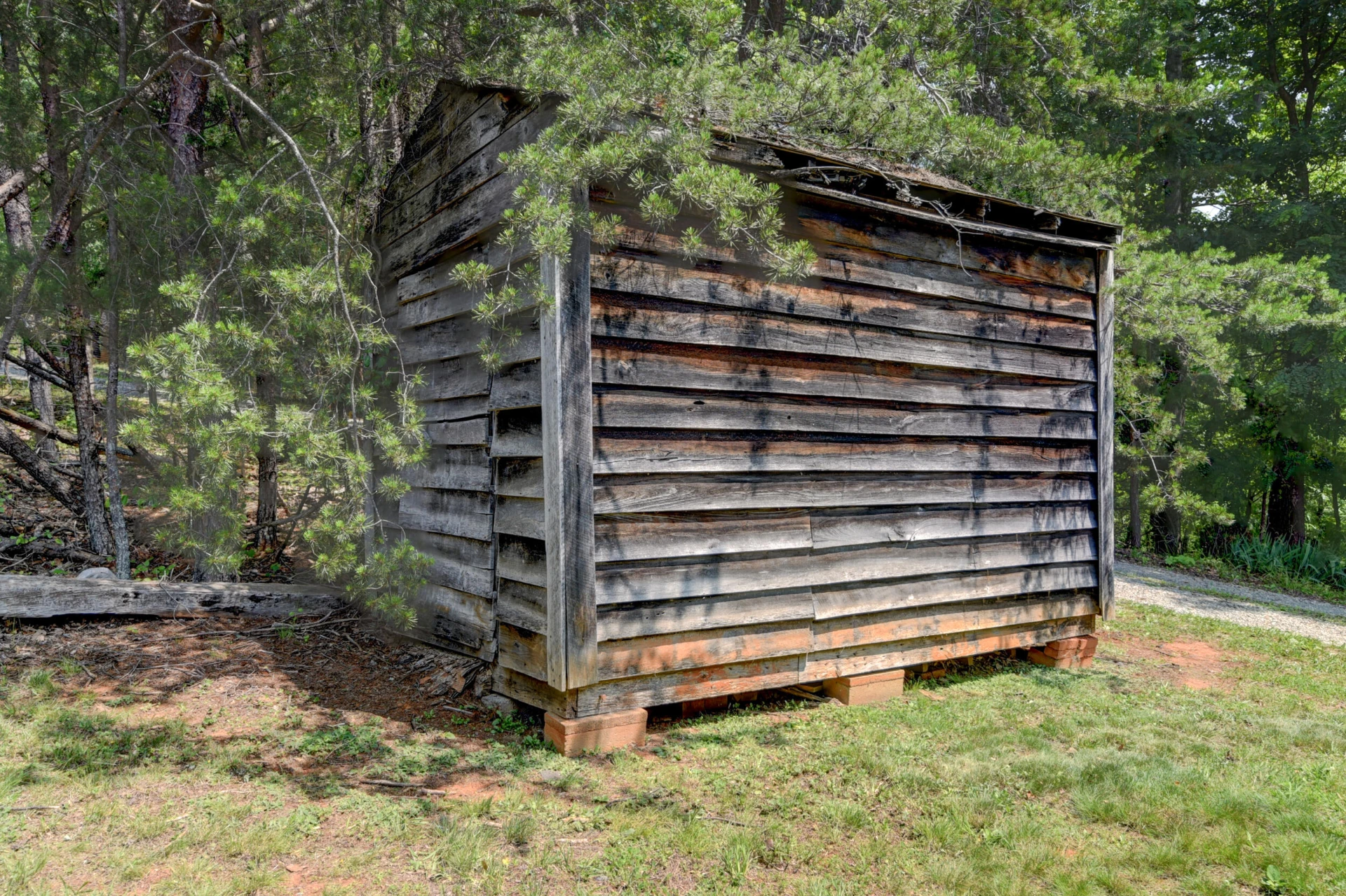 3122 Buffalo Run - Photo 43