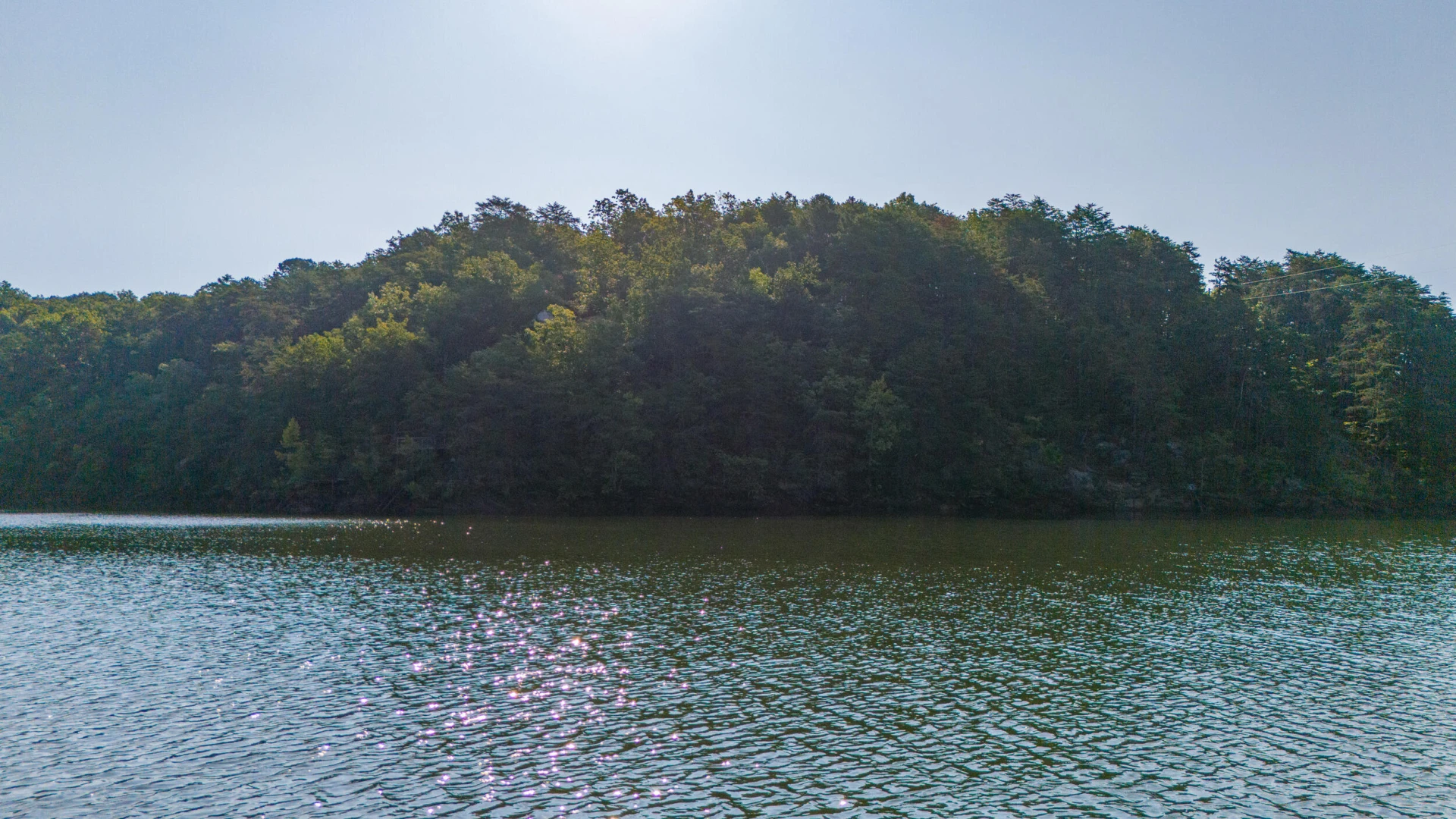 5 Trellis Ridge DR - Photo 8