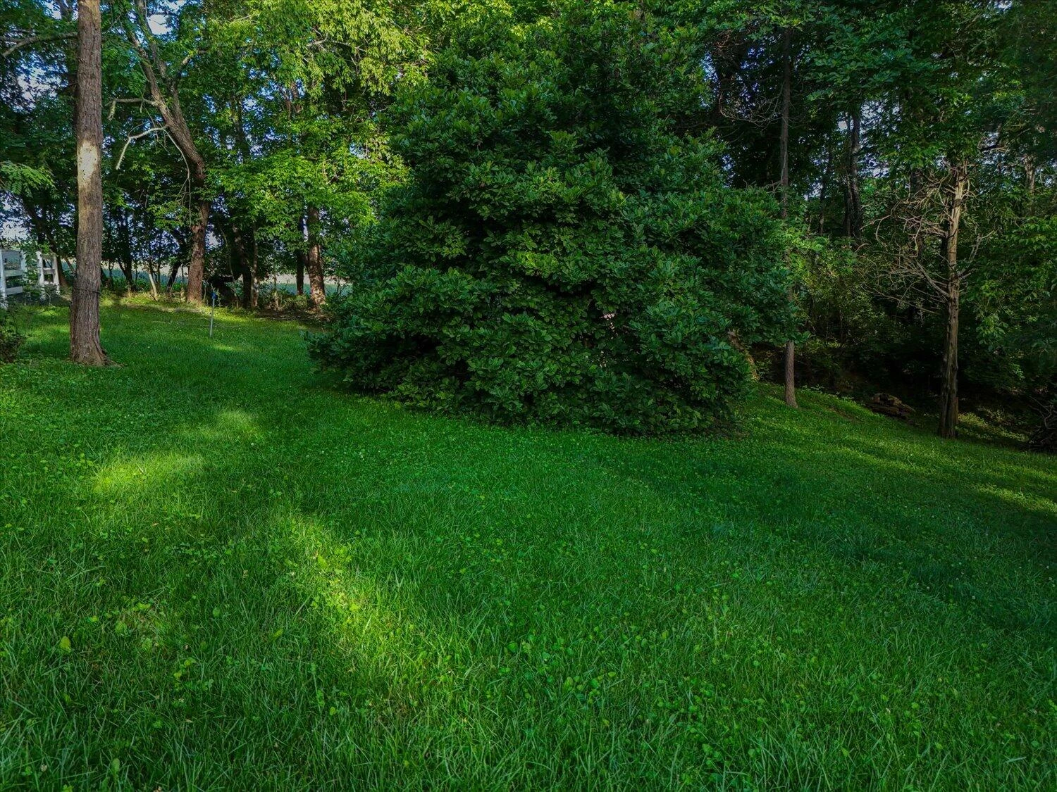 146 Hill DR - Photo 74