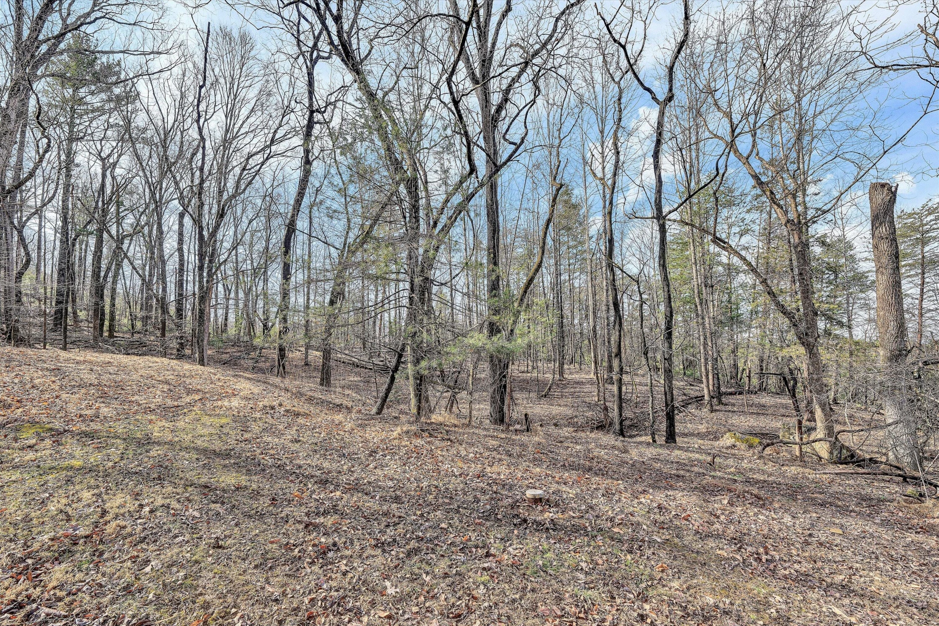 4312 Harborwood RD - Photo 26