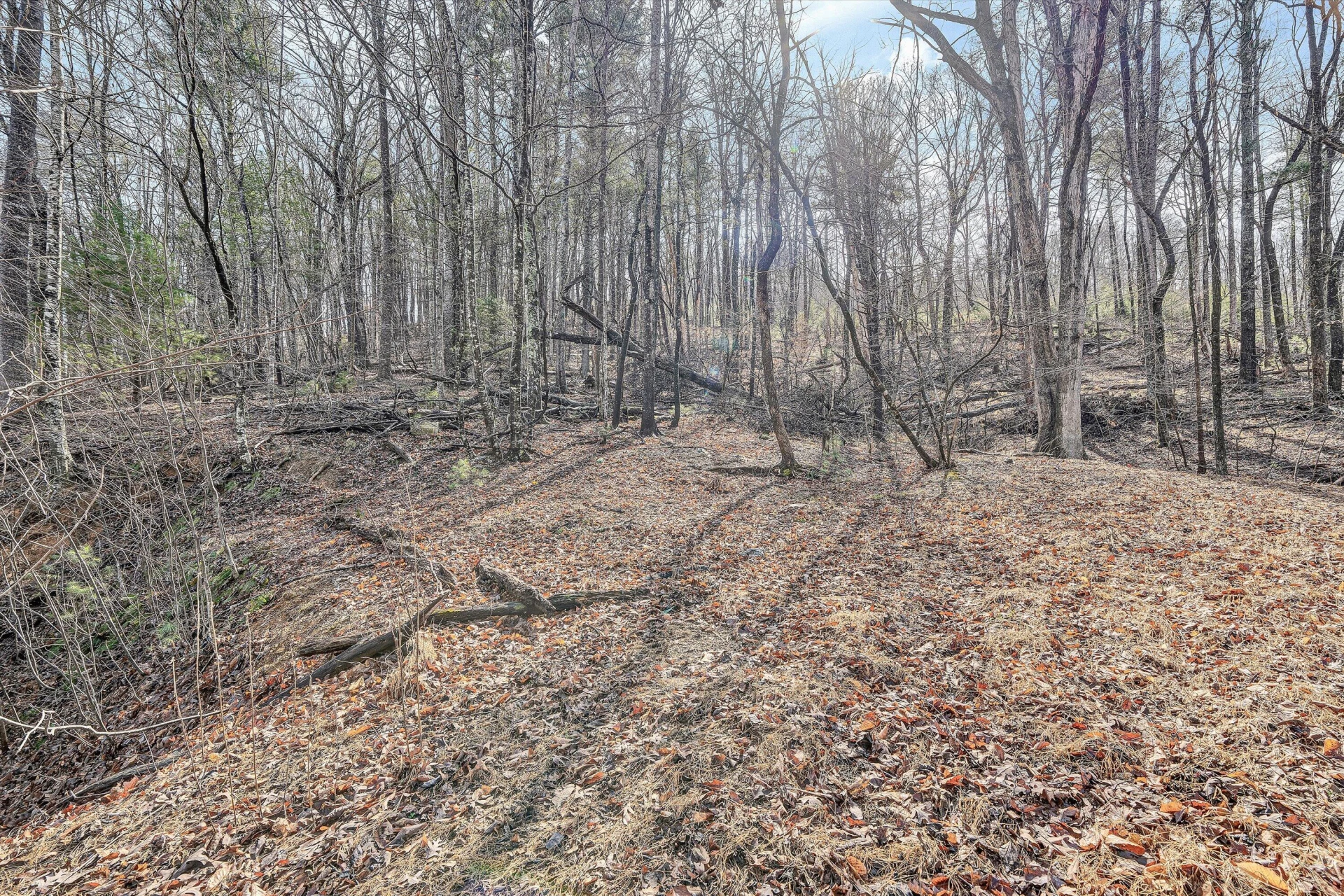 4312 Harborwood RD - Photo 27