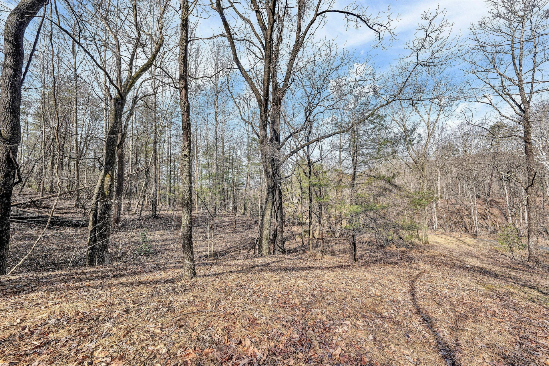 4312 Harborwood RD - Photo 28