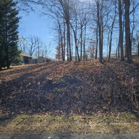 Lot 59 Macgregor DR, Blue Ridge, VA, 24064