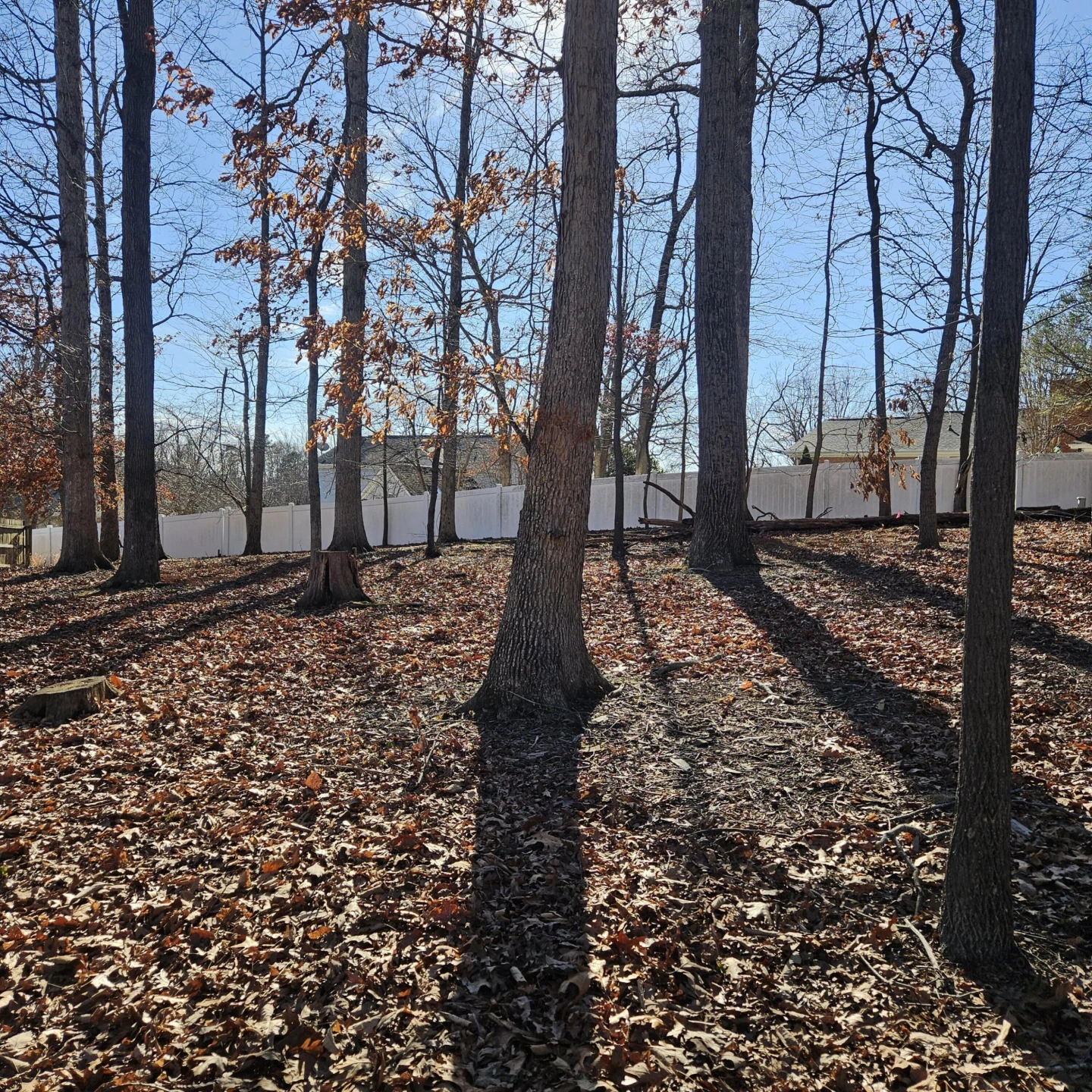 Lot 59 Macgregor DR - Photo 3