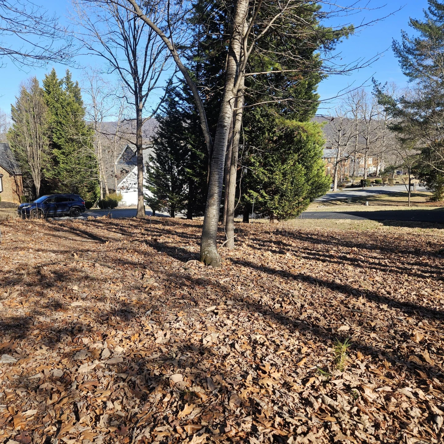 Lot 59 Macgregor DR - Photo 5